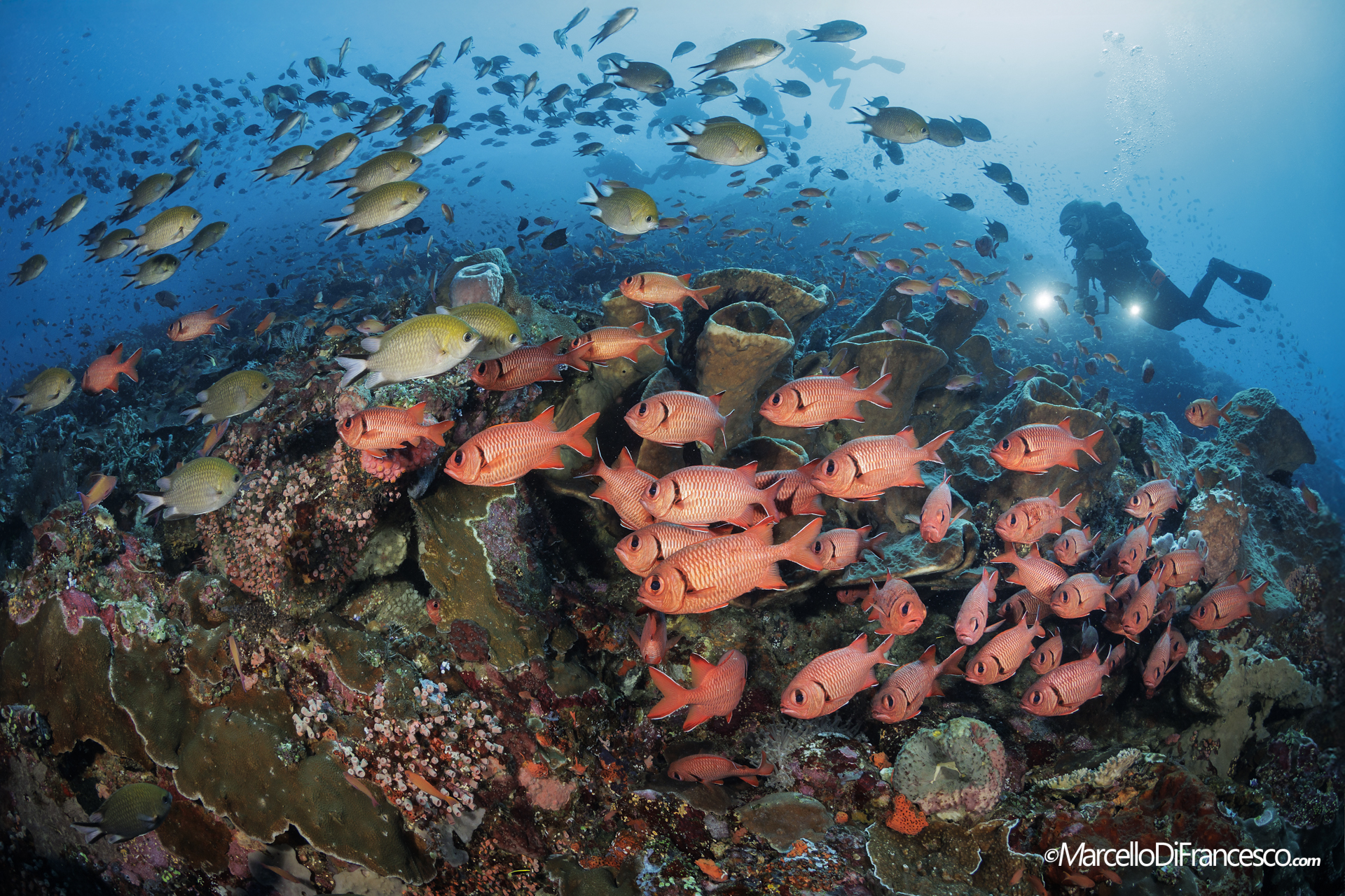 Komodo National park