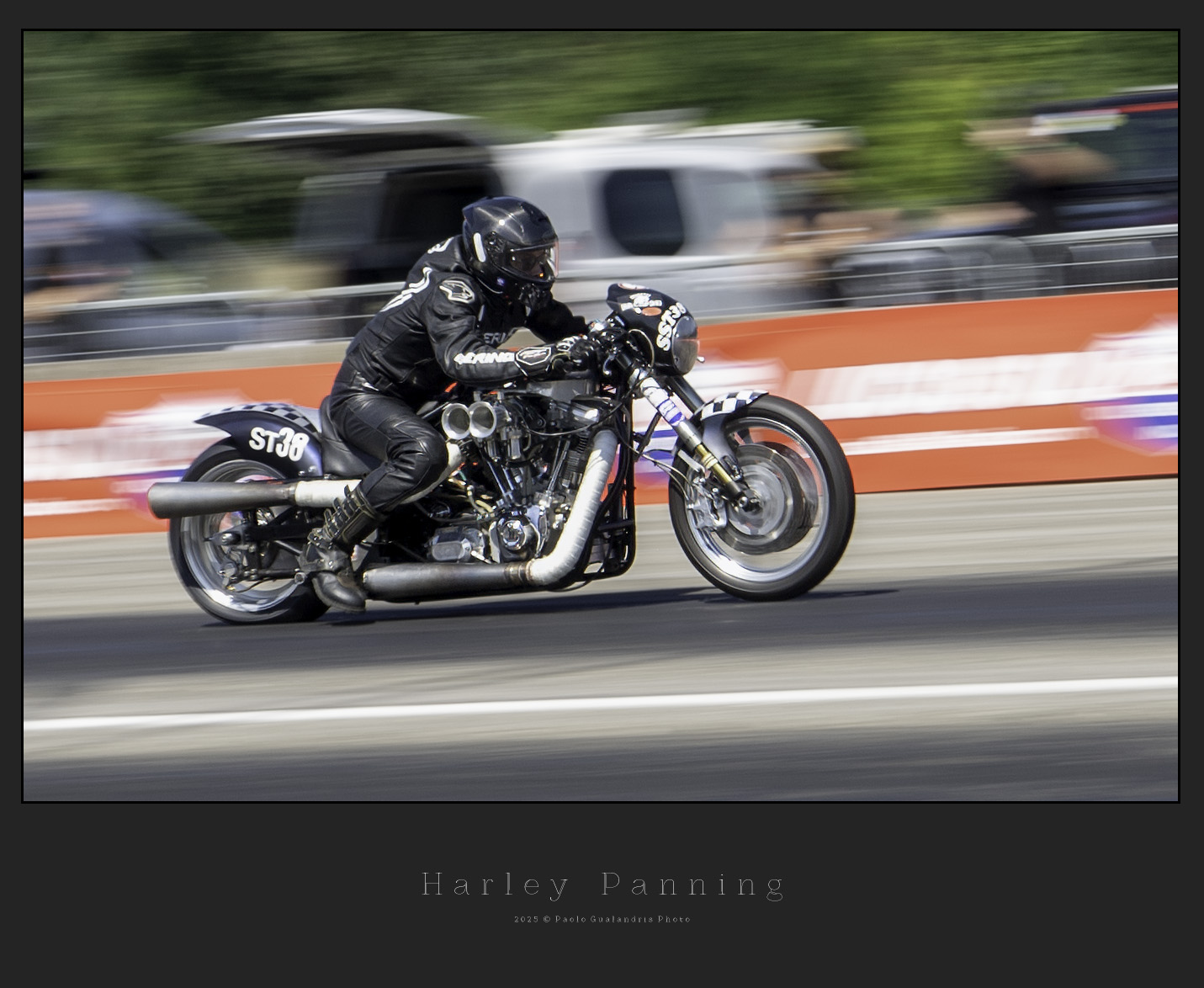Harley Panning