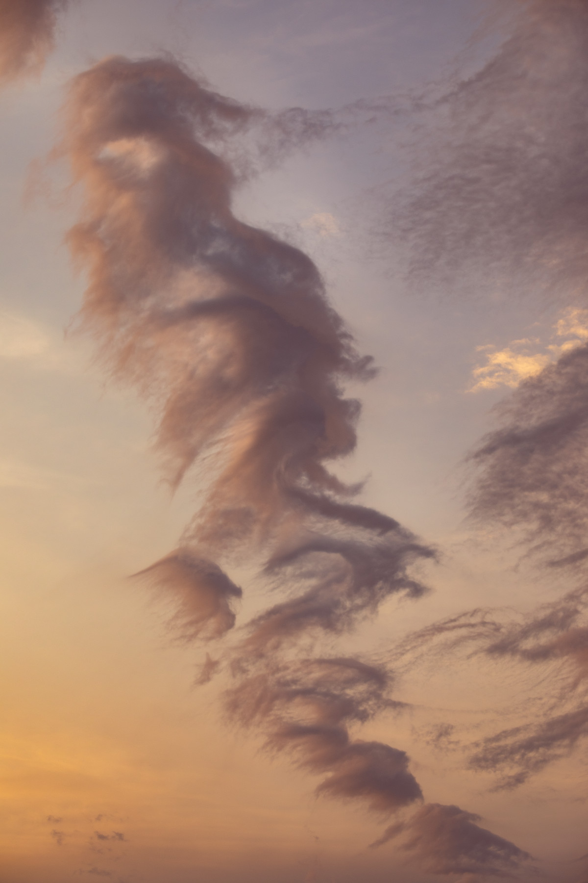 Brushstrokes of sunset