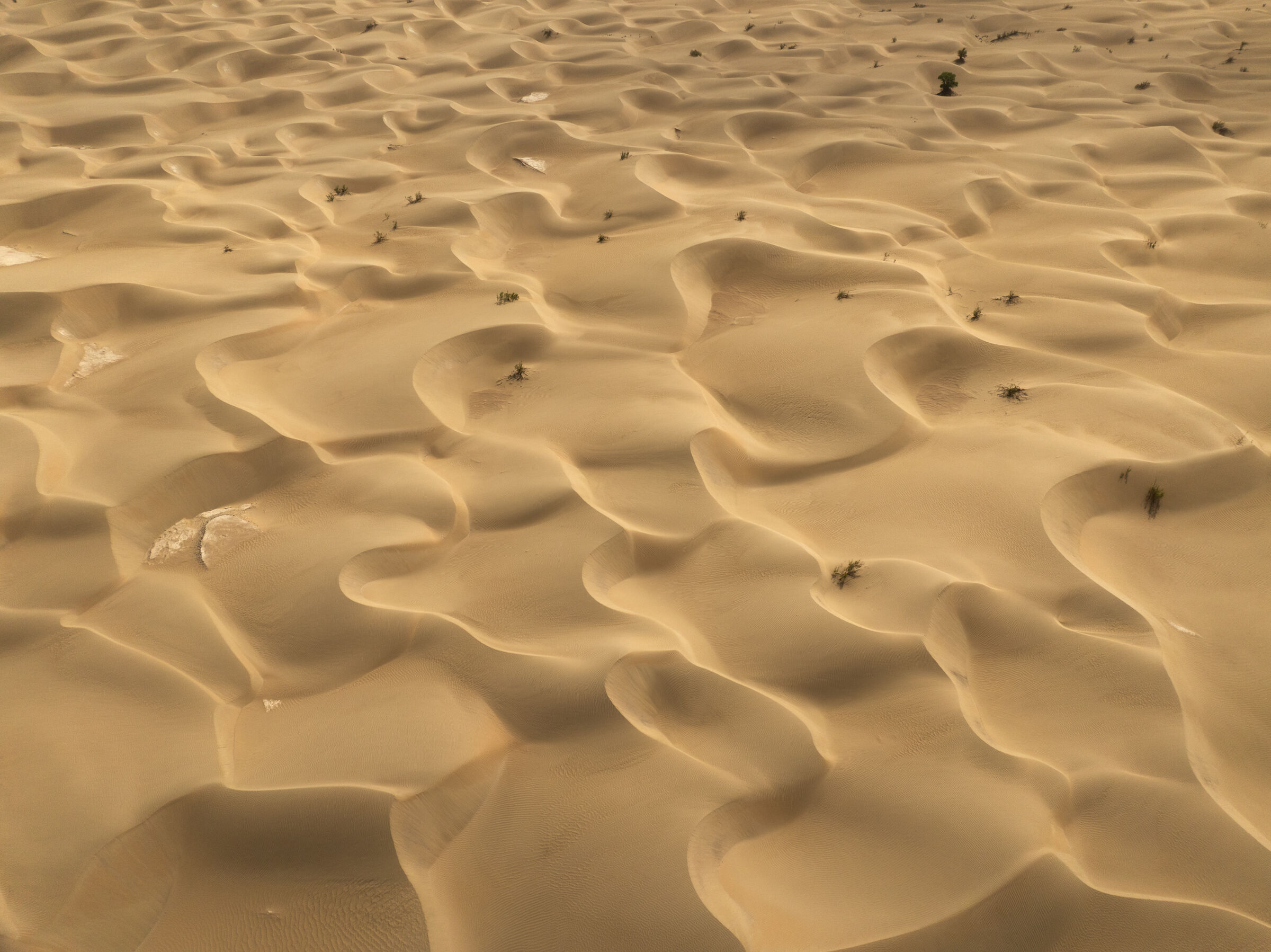 "Se entri non esci più"