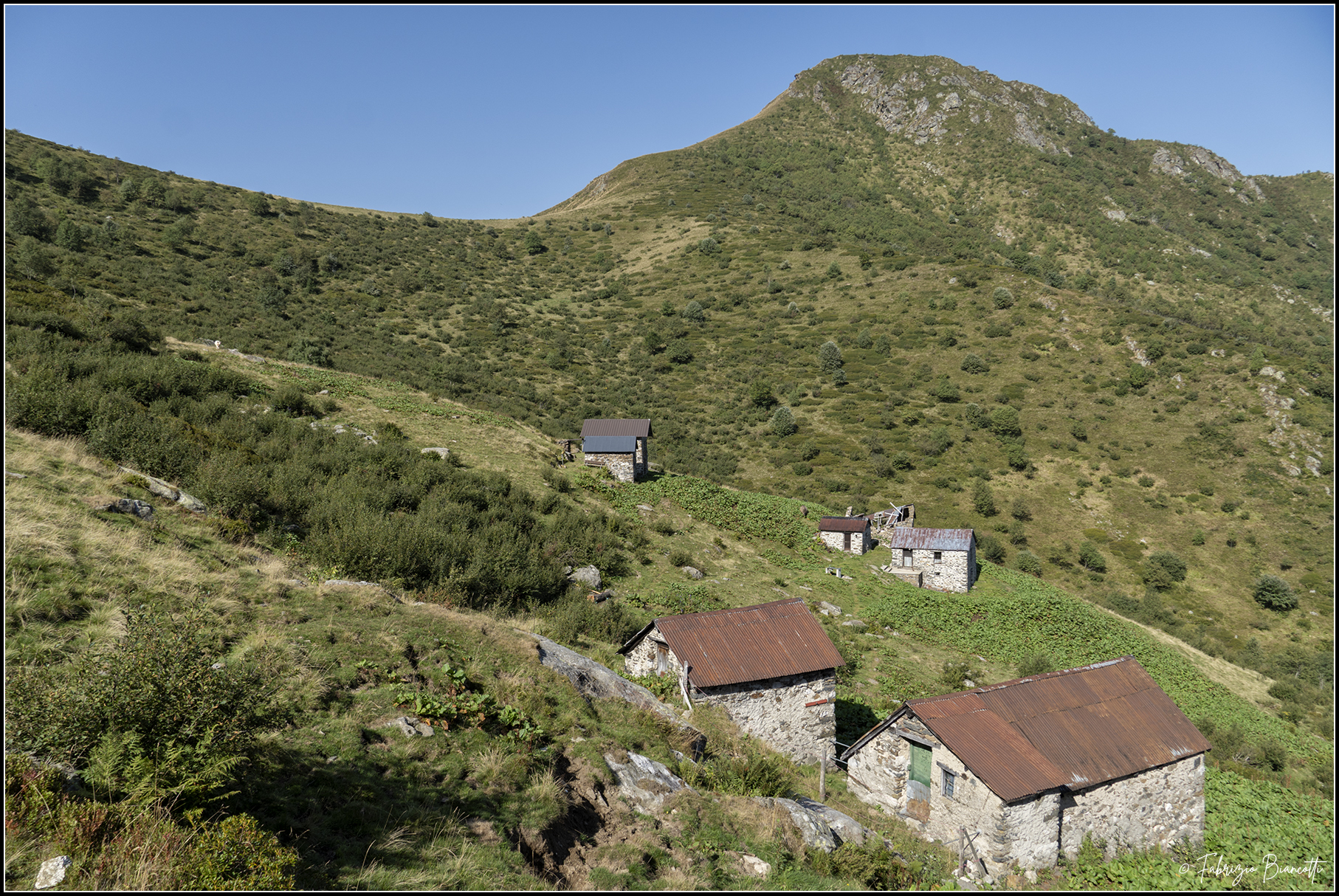 Alpe Campo