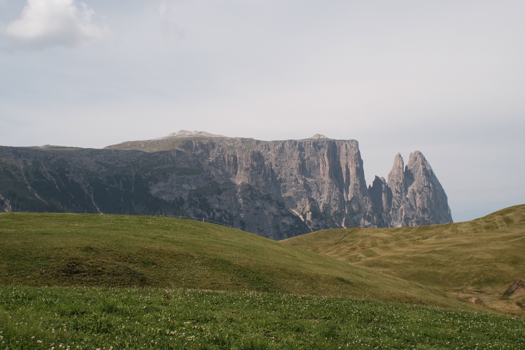 Rosengarten