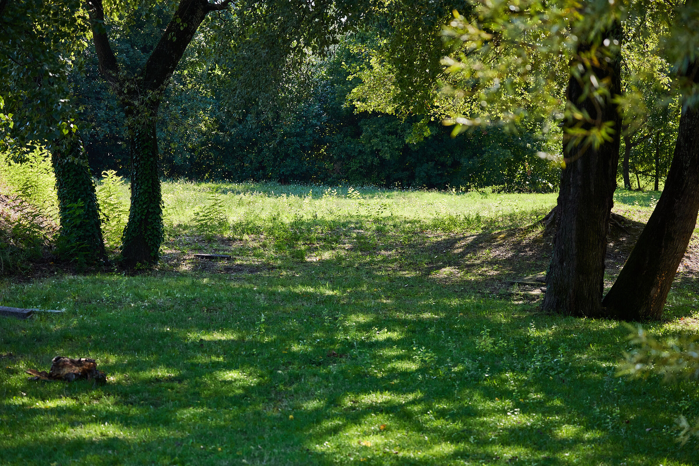eravamo 4 amici al bar