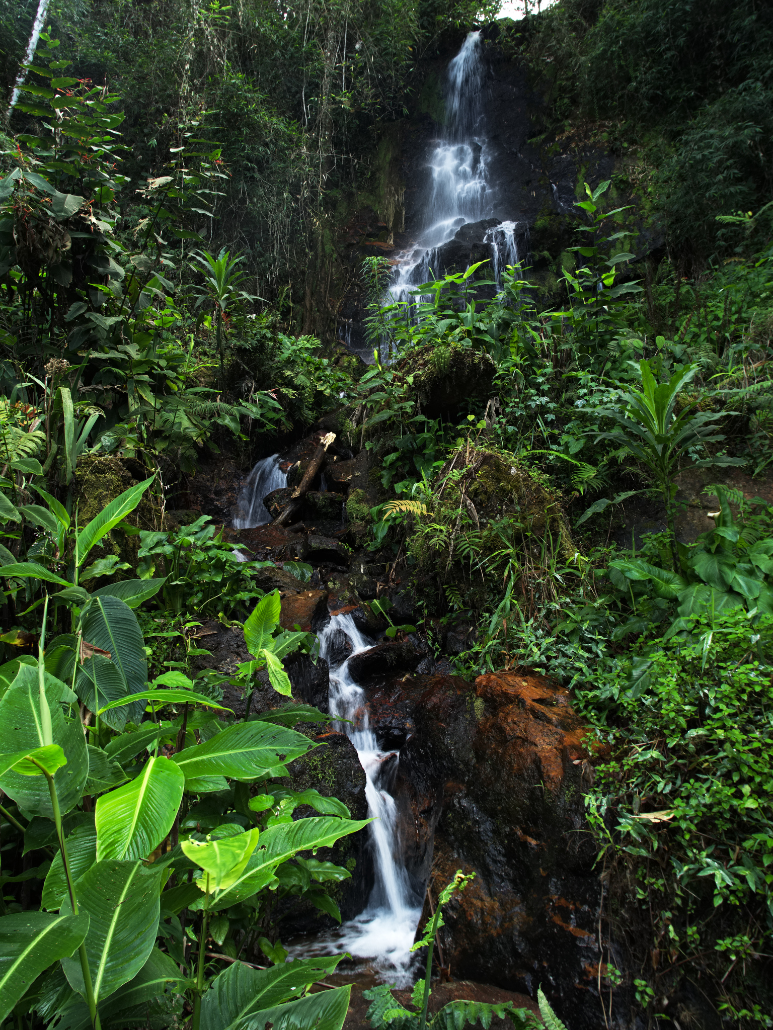Cascata tropicale