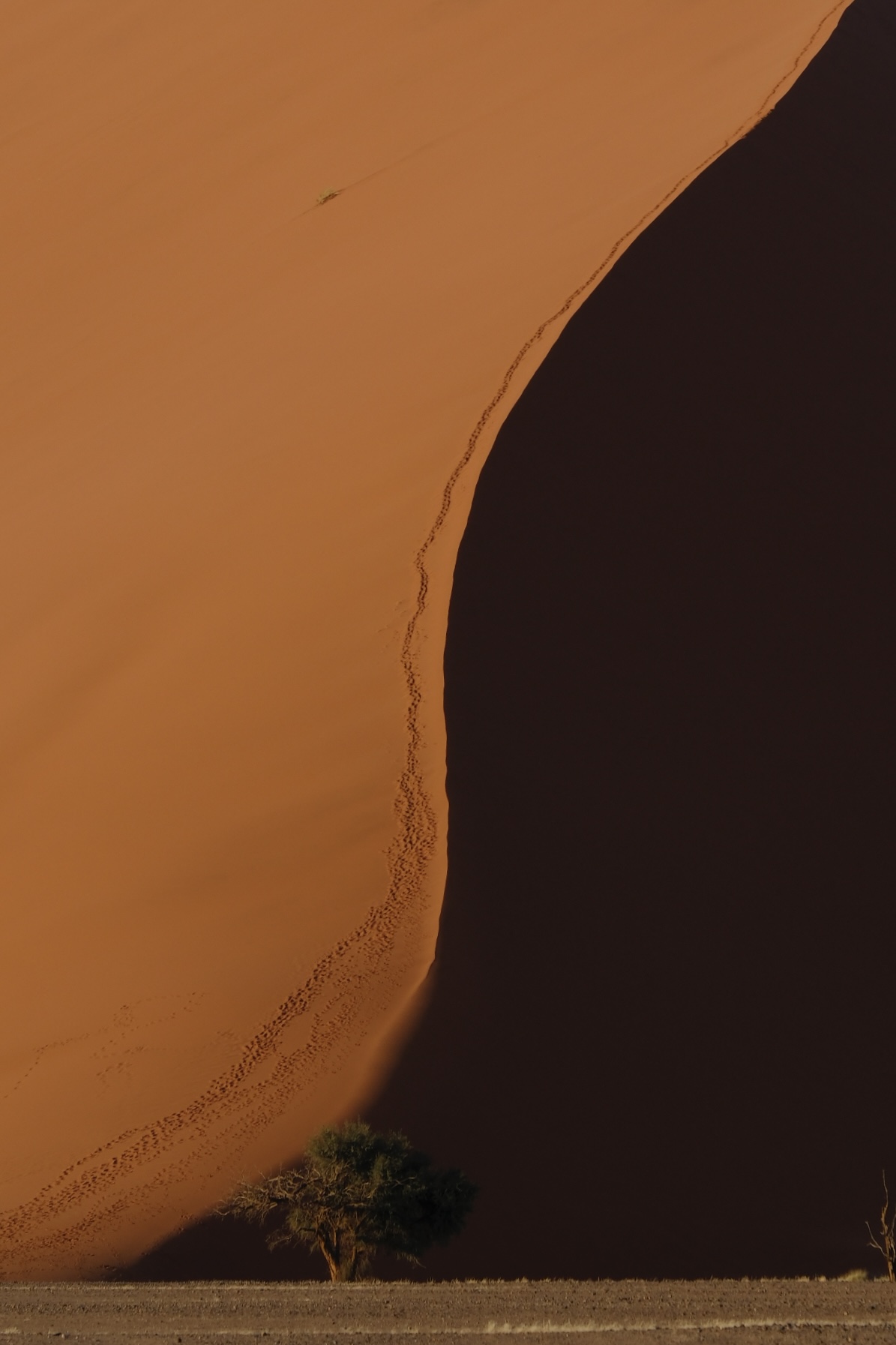 Namib Desert