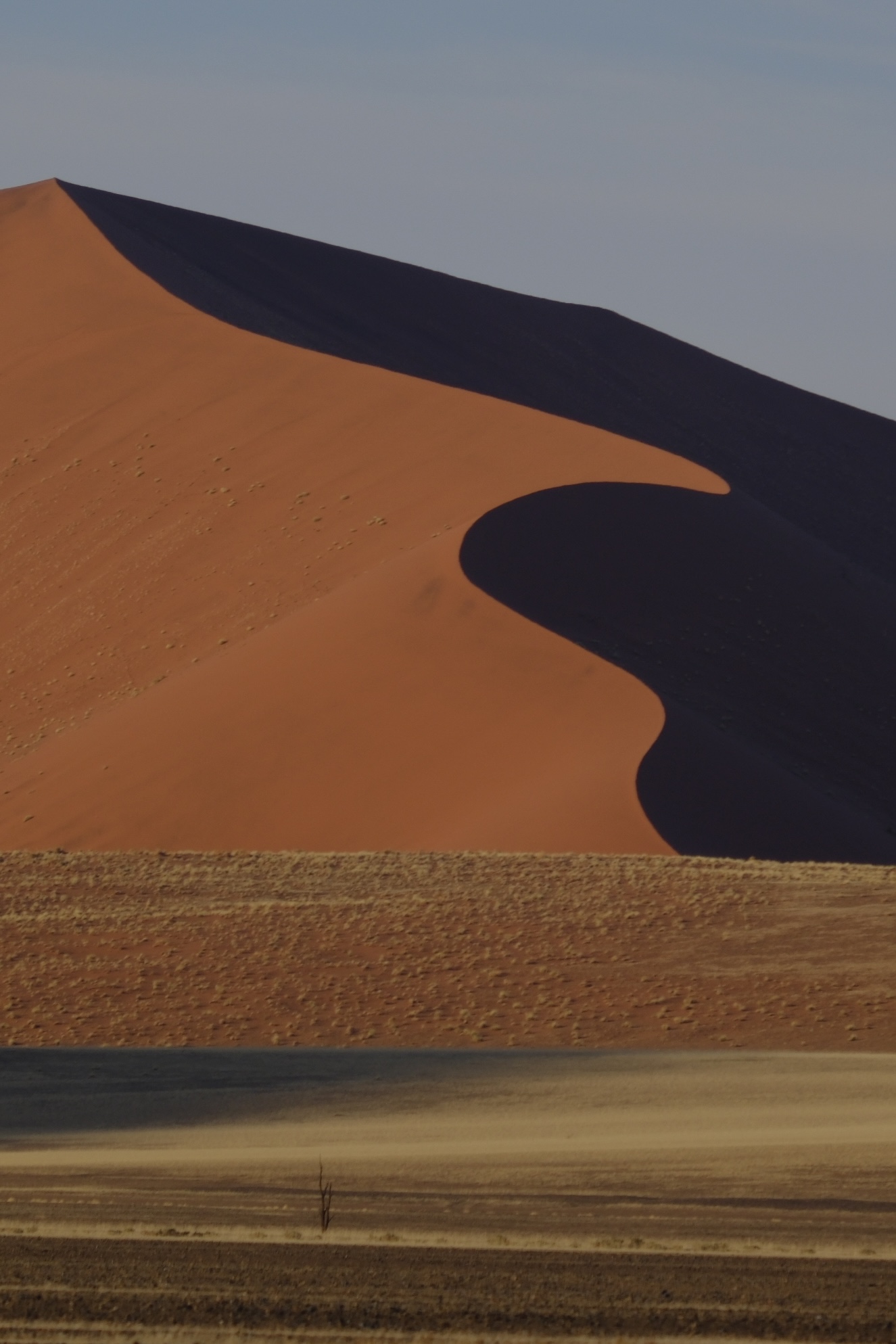 Namib Desert