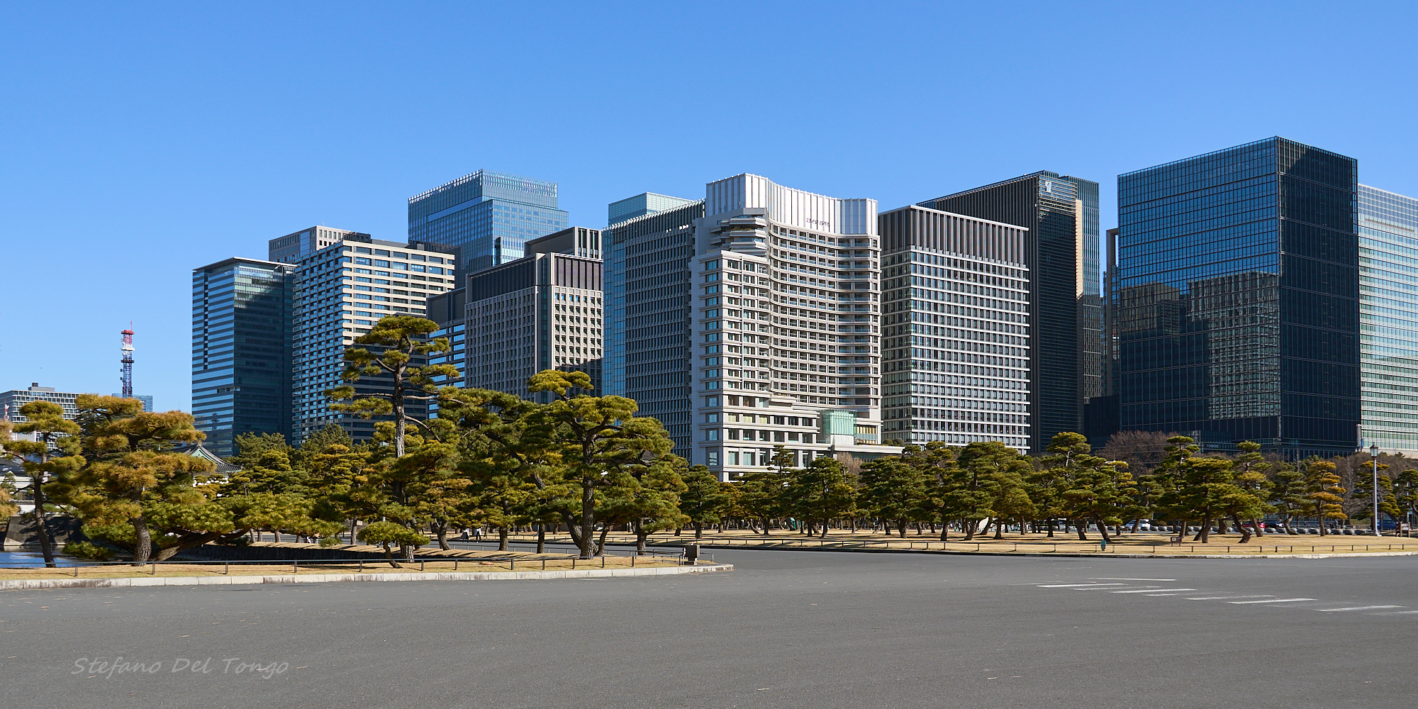 Giardino palazzo Imperatore, antico e moderno