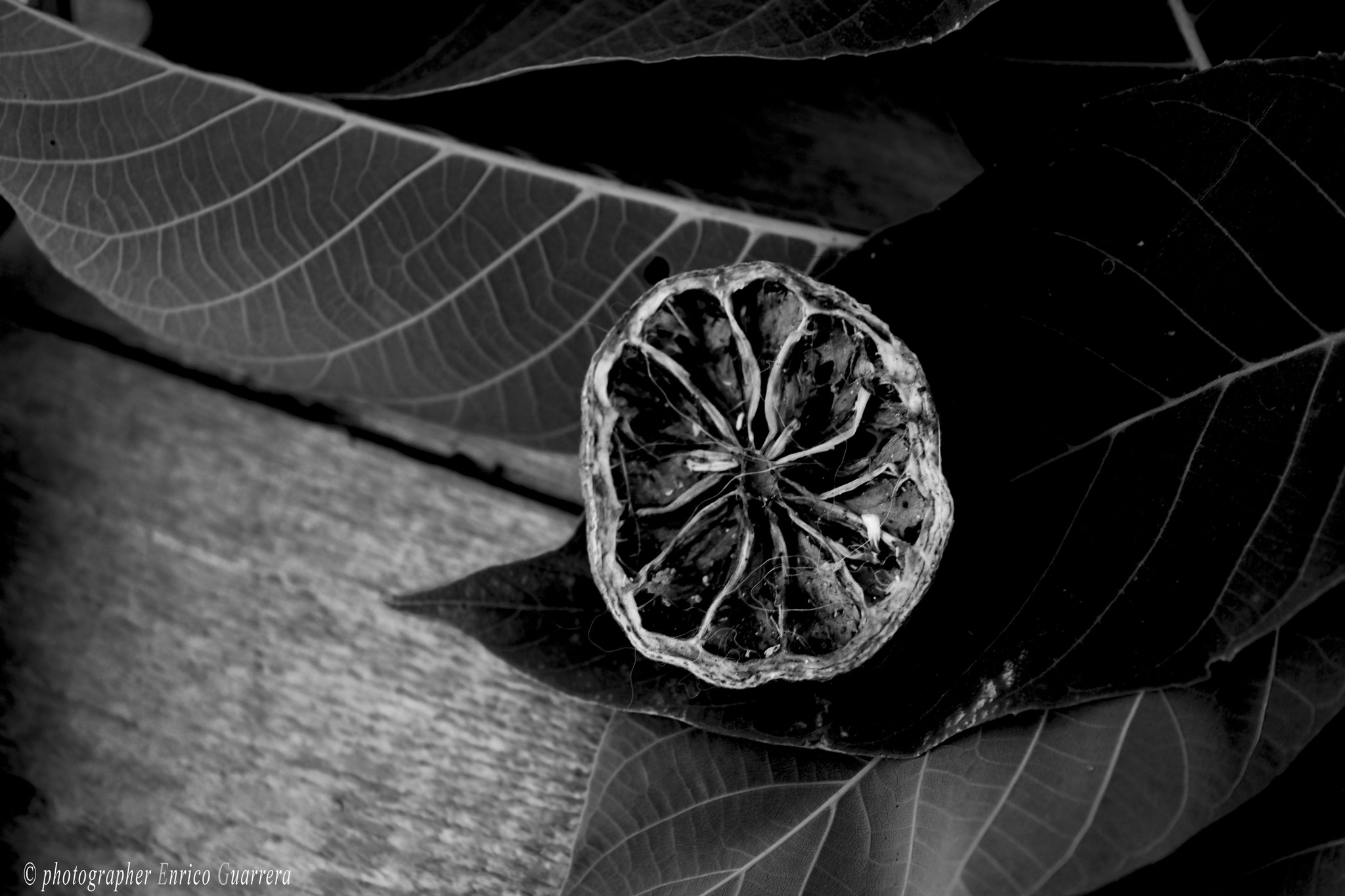 transforming matter into memory.