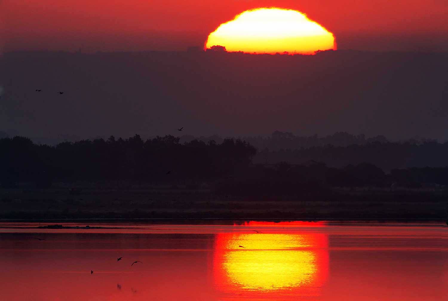 The dawn in the Sinis