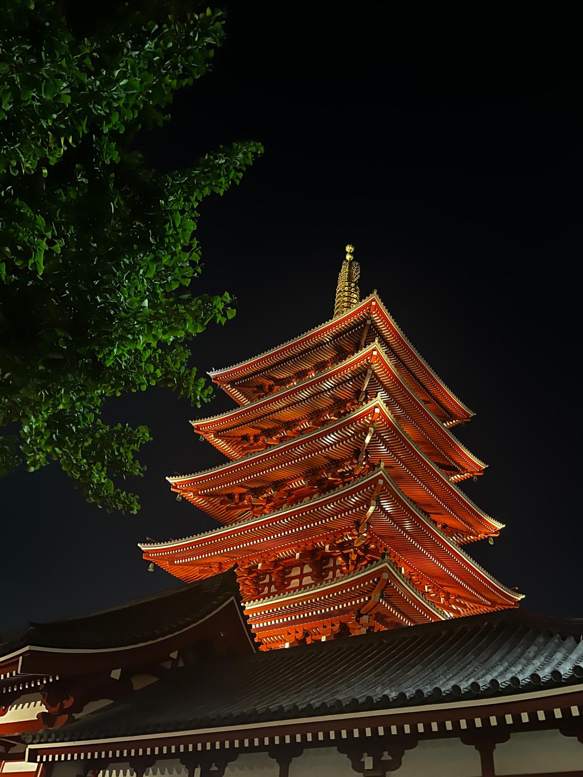 Giappone di notte_3