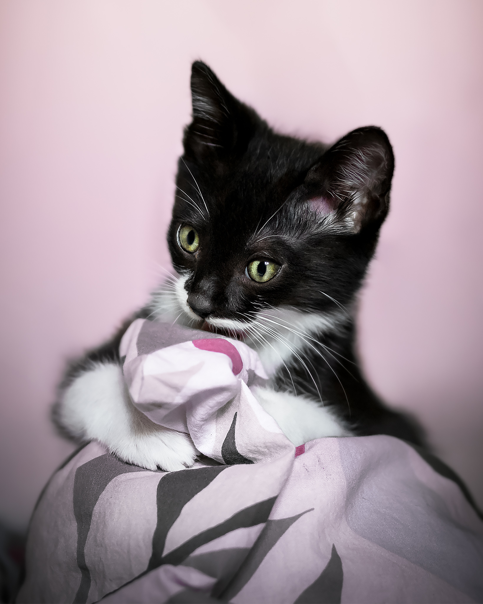 Letizia in pink