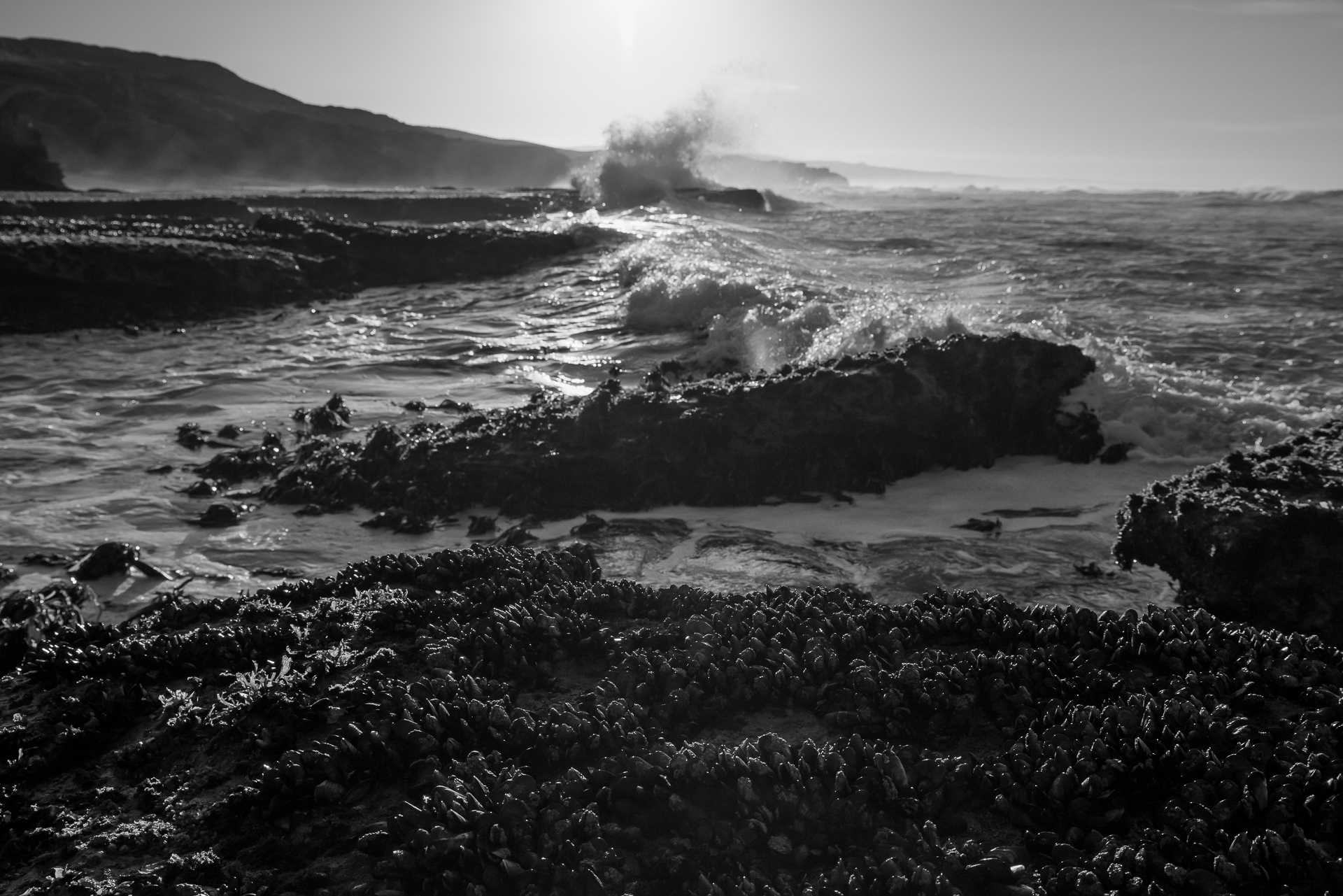 Untitled Photo