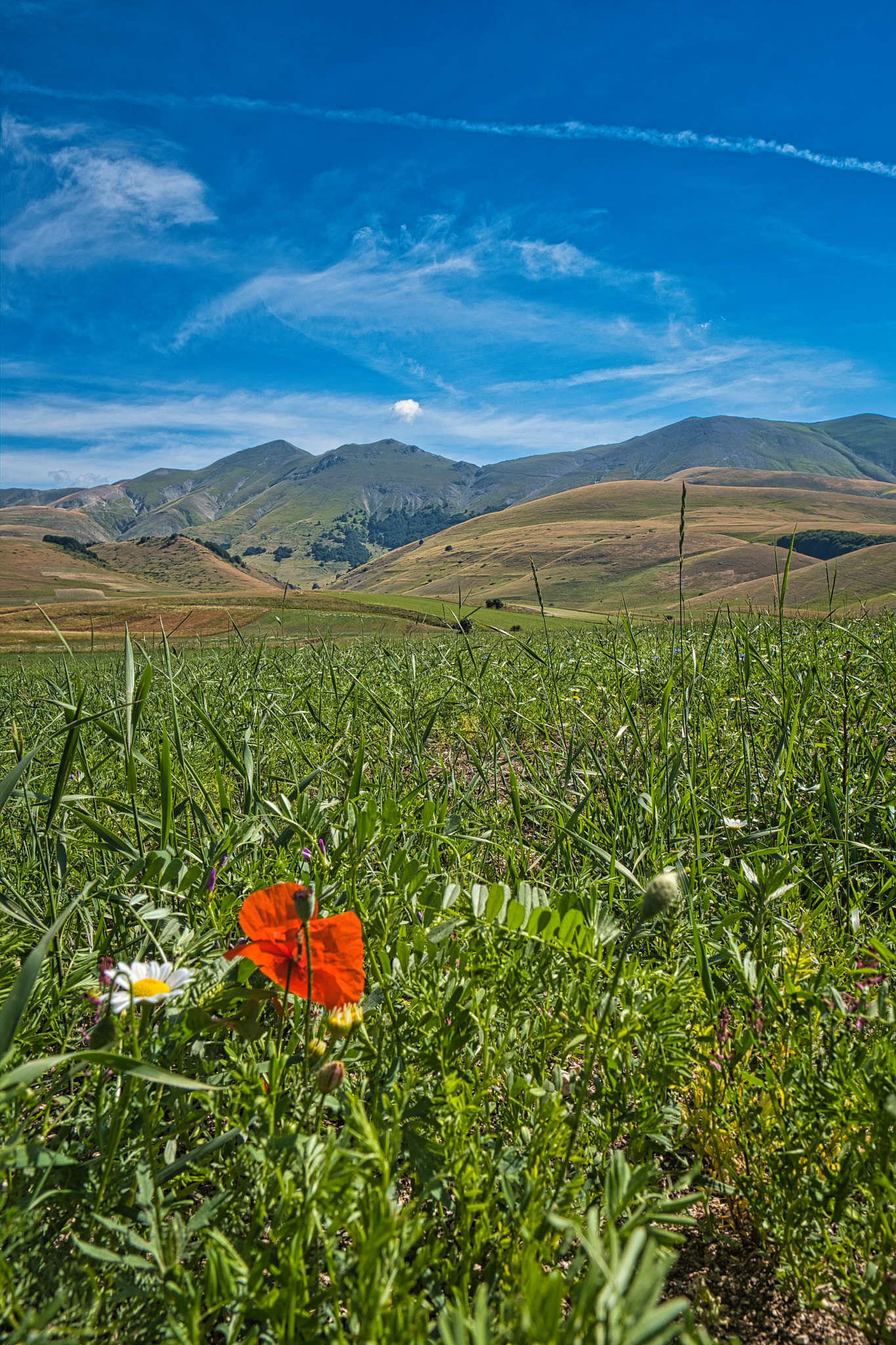 Castelluccio