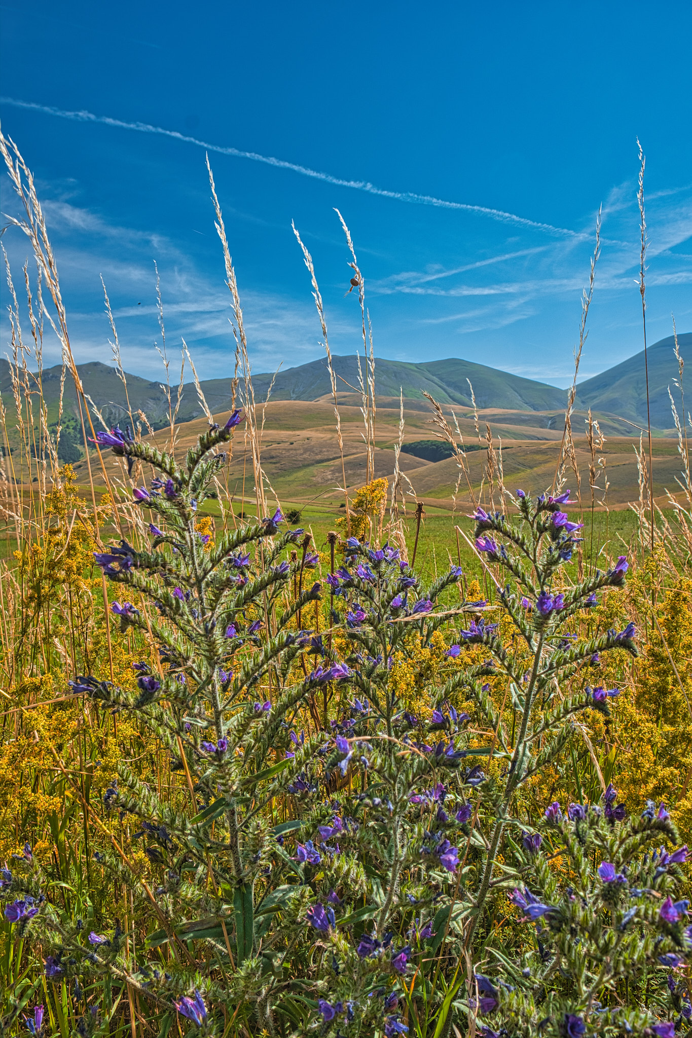 Castelluccio