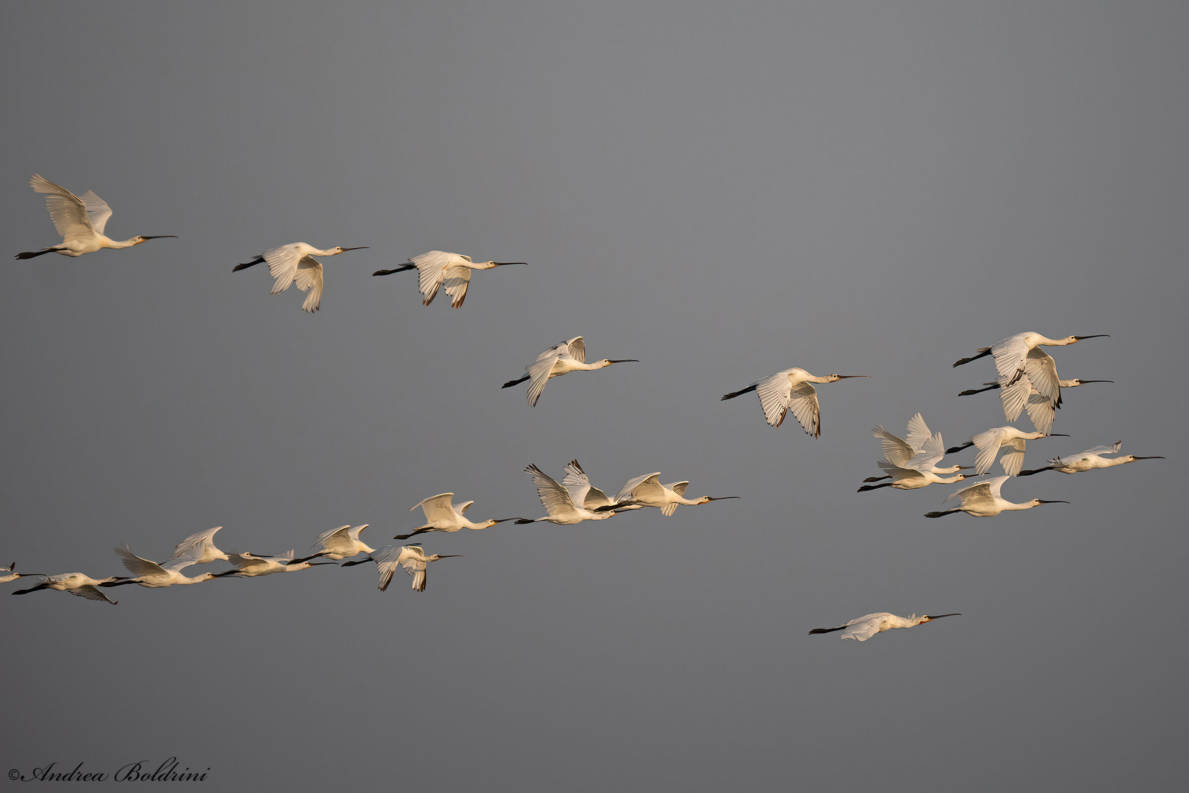 Sky traffic