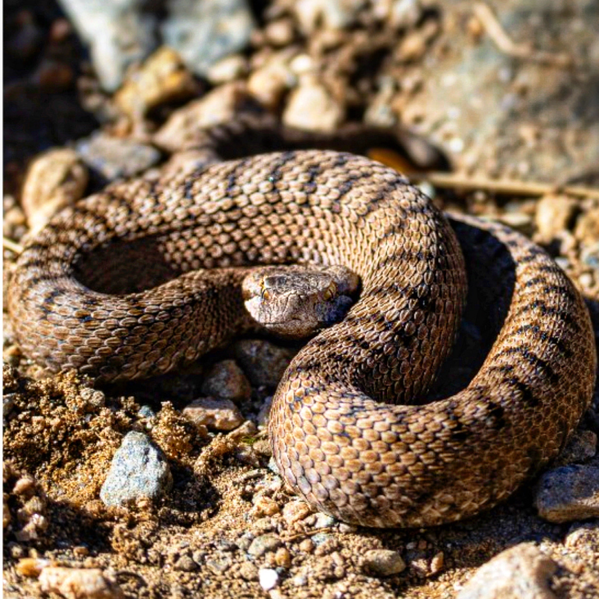 In armonia con la natura