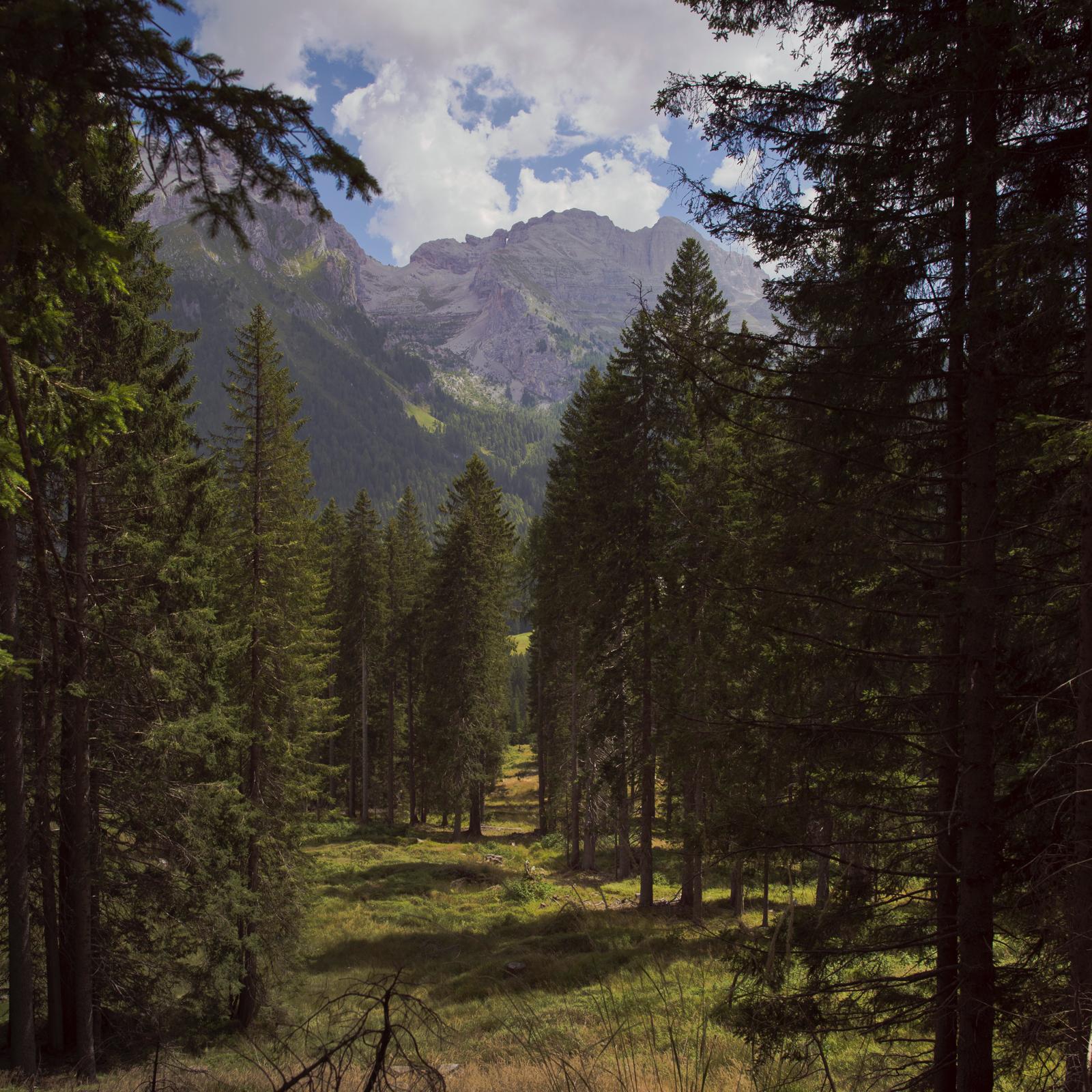 Brenta Dolomites
