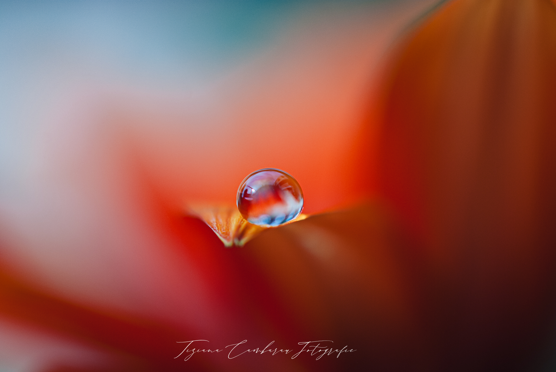 Drop.