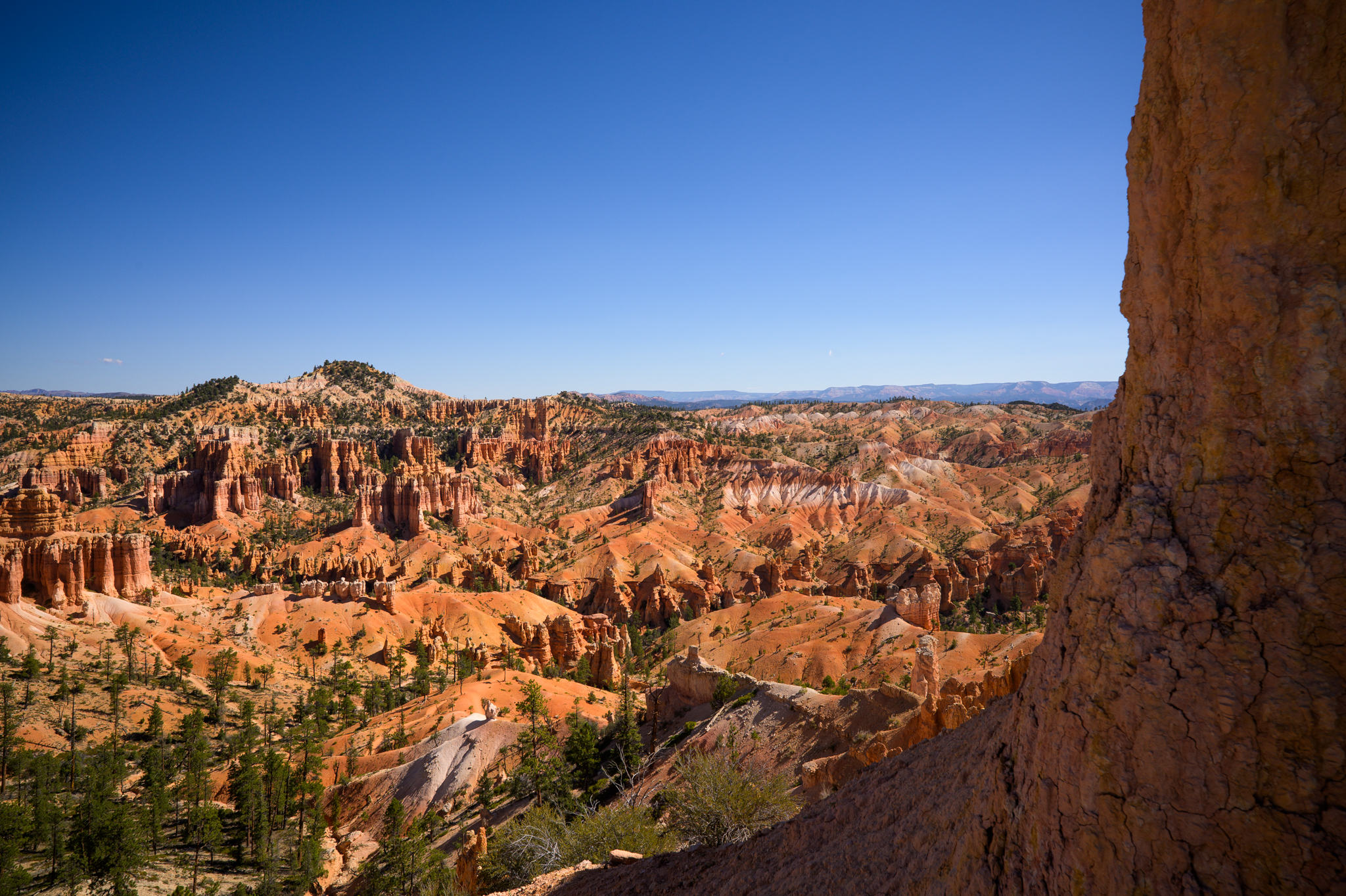 All'interno del Bryce