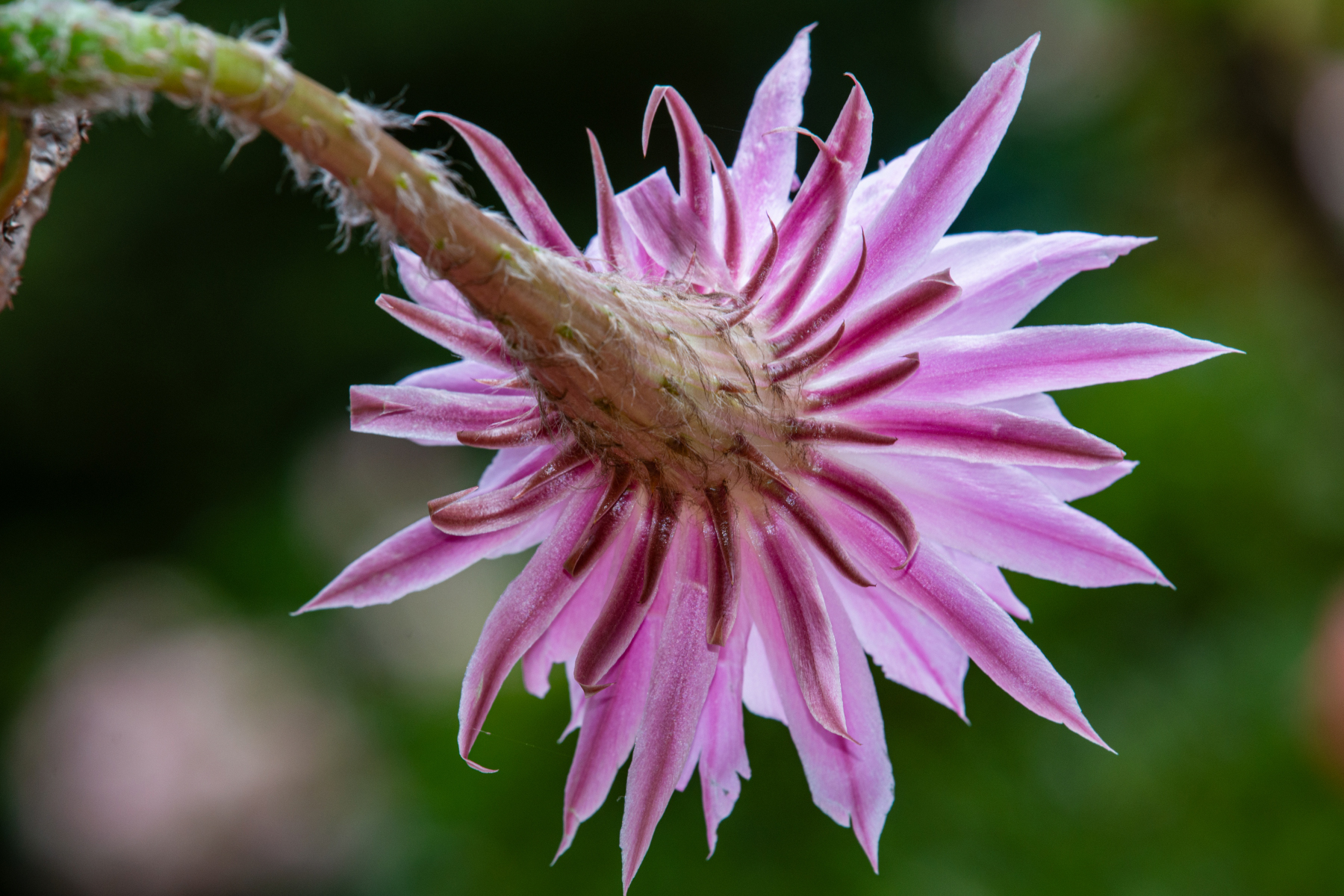 Prospettive differenti