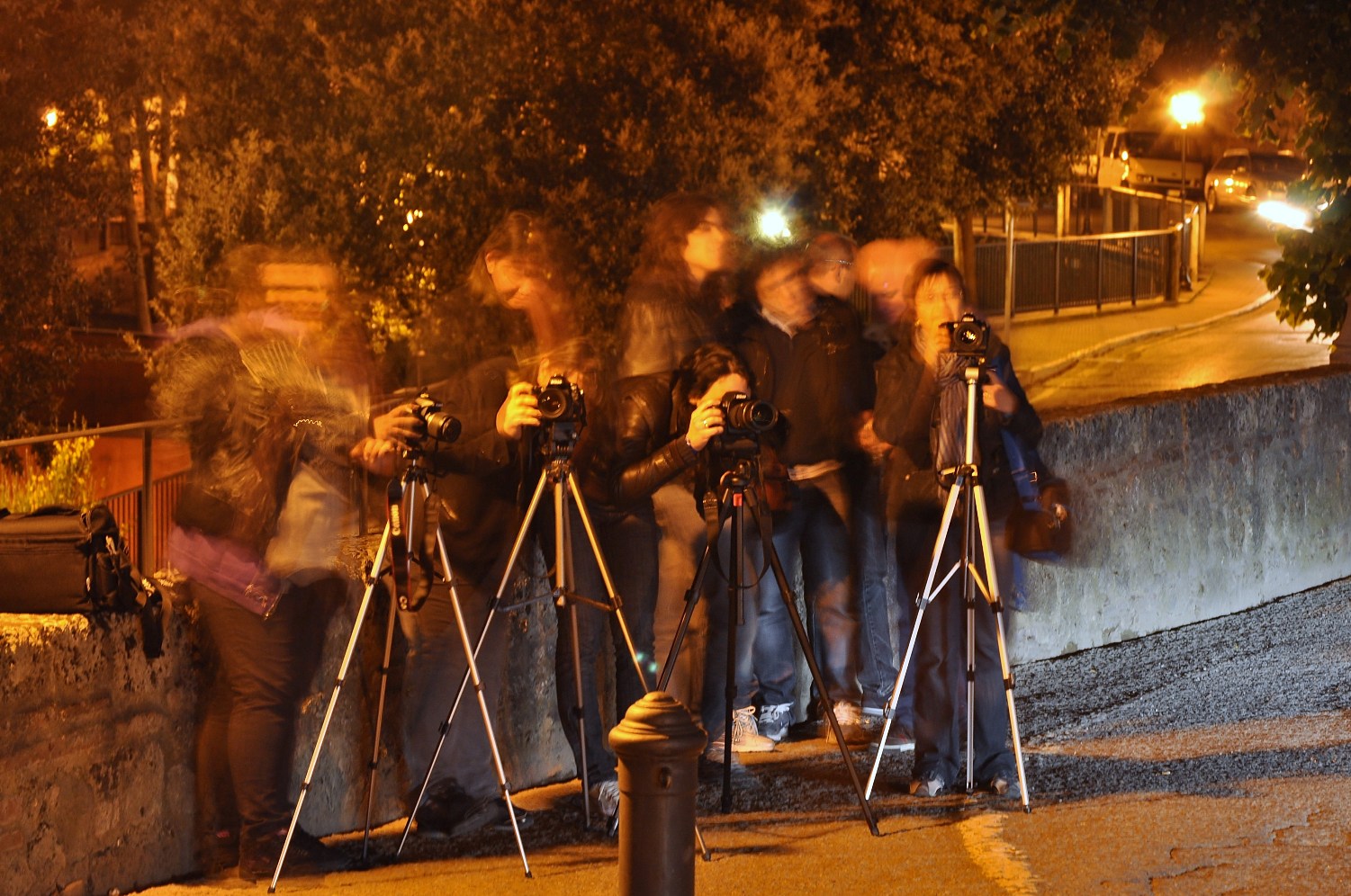 trasparenze notturne