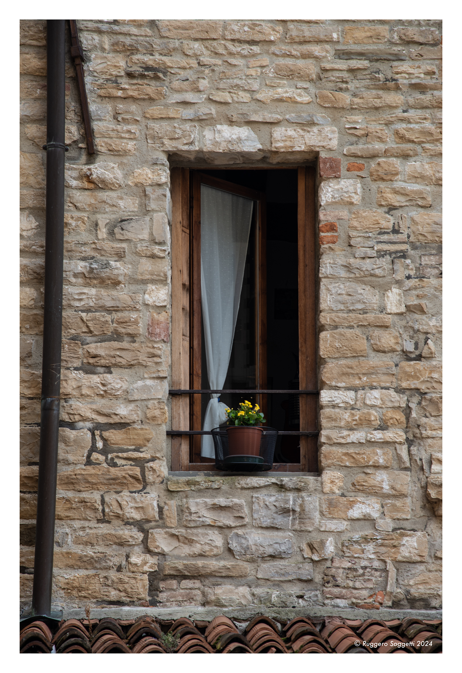 Bergamo, window