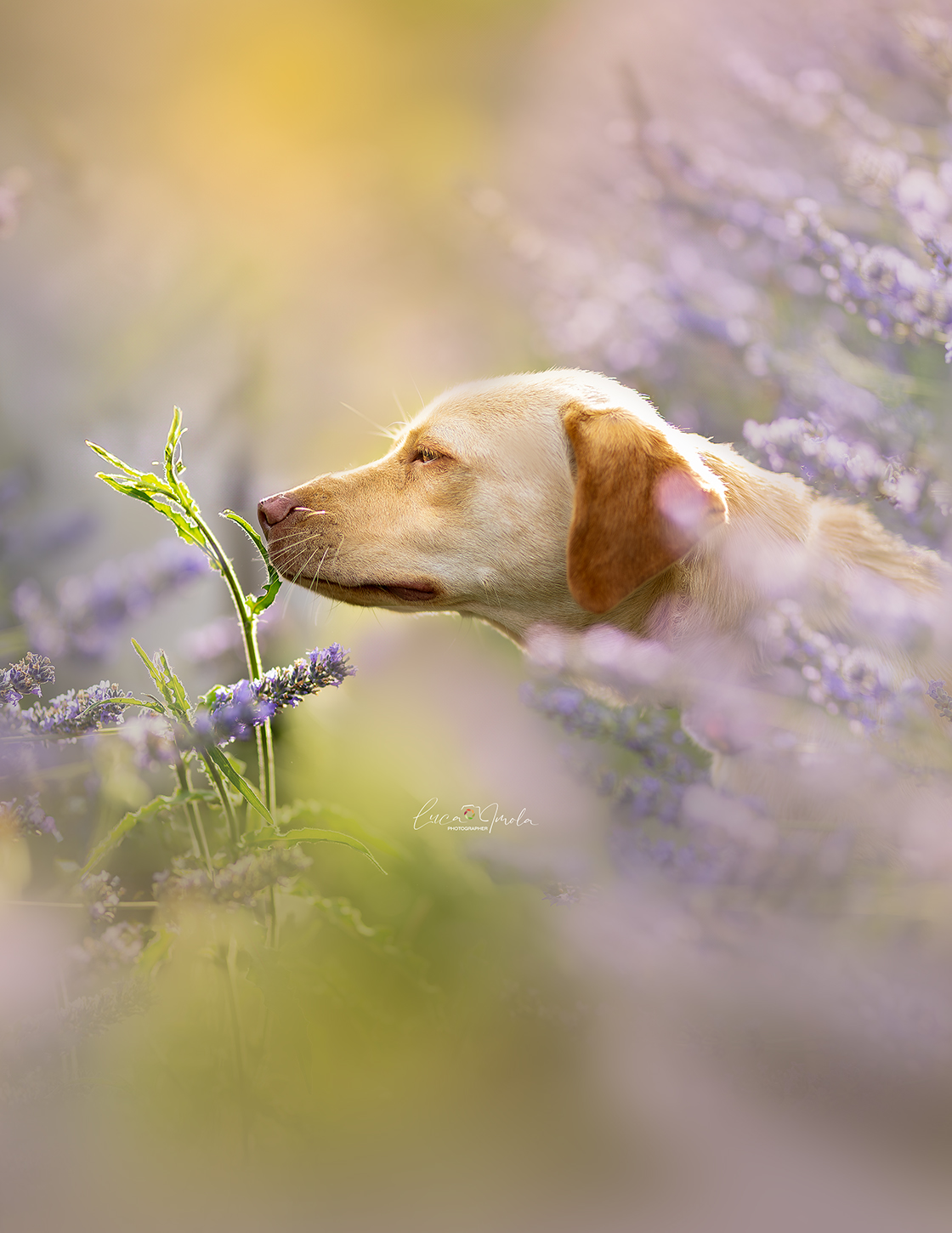 Breath