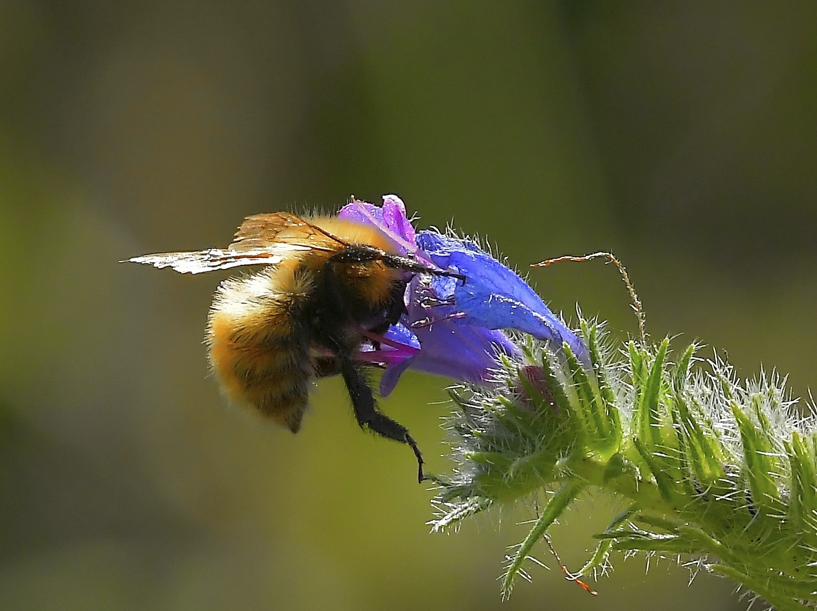 mannaggia devo dimagrire un pò..