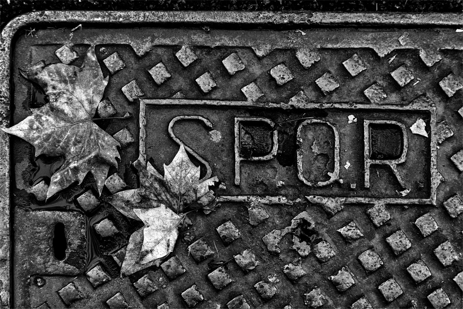 Memories of a Roman autumn