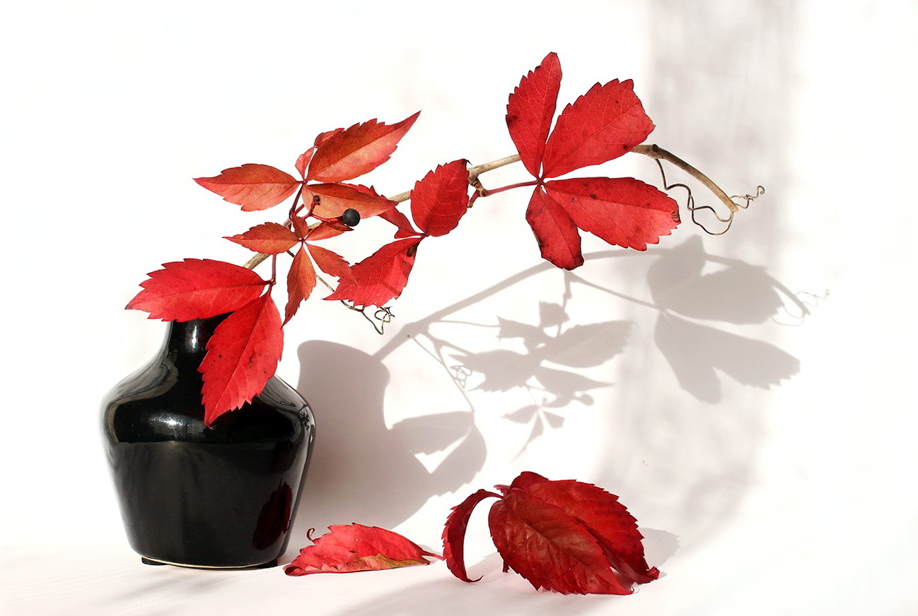 with an autumnal touch