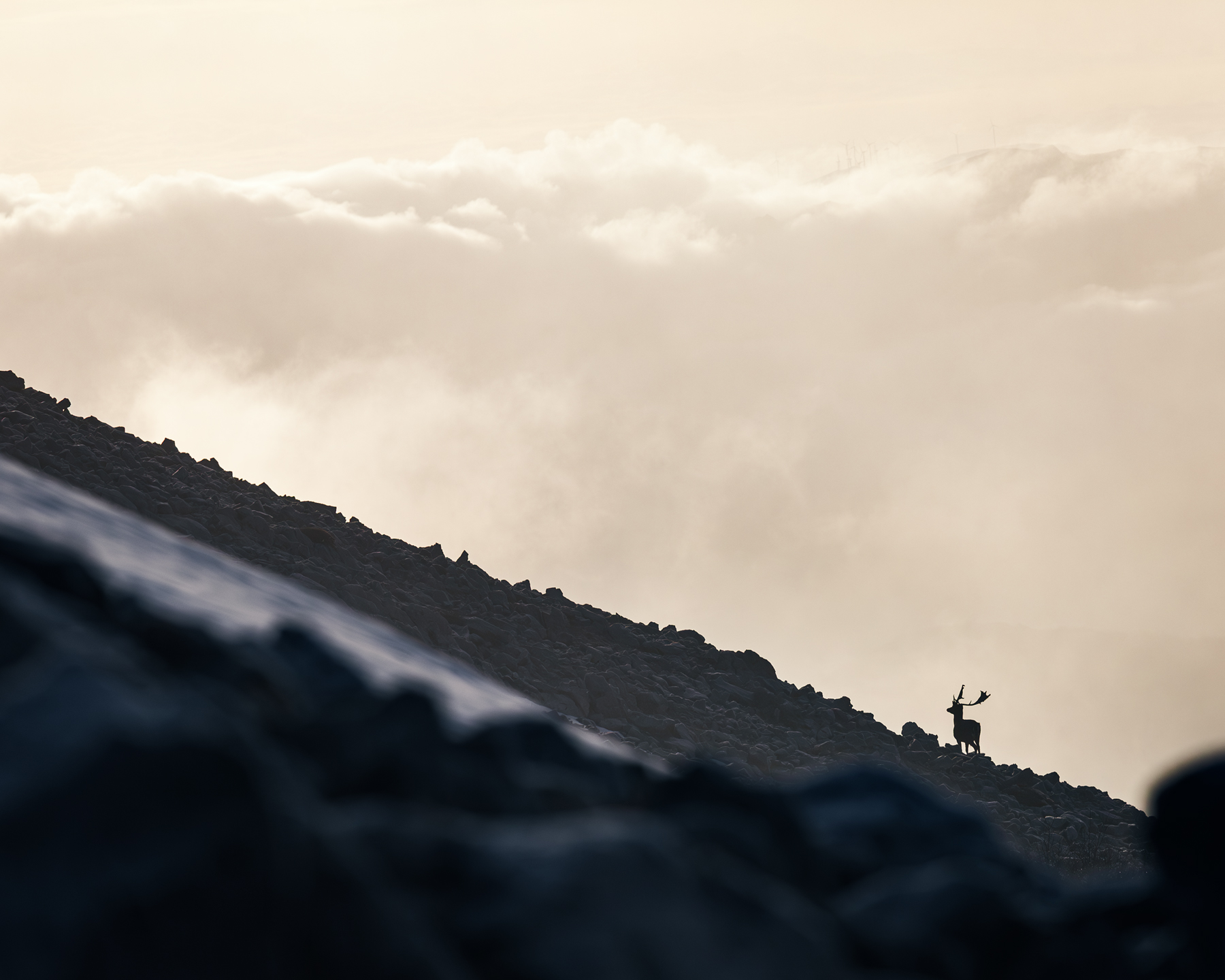 A sense of adventure