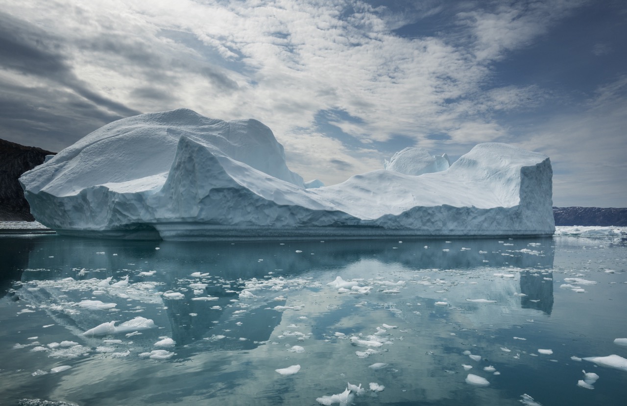 Adorable... without the sun!