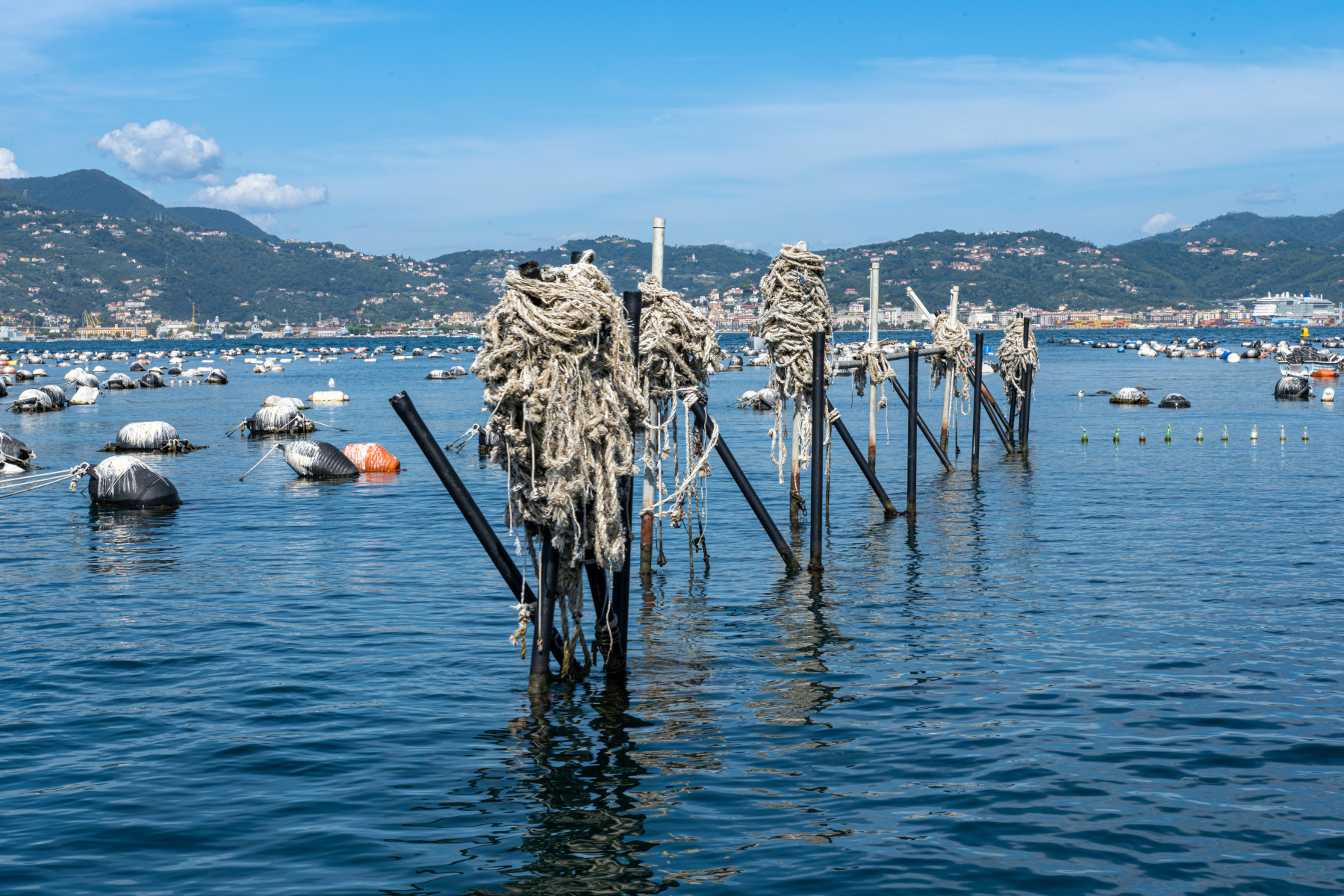 La Spezia - Nurseries