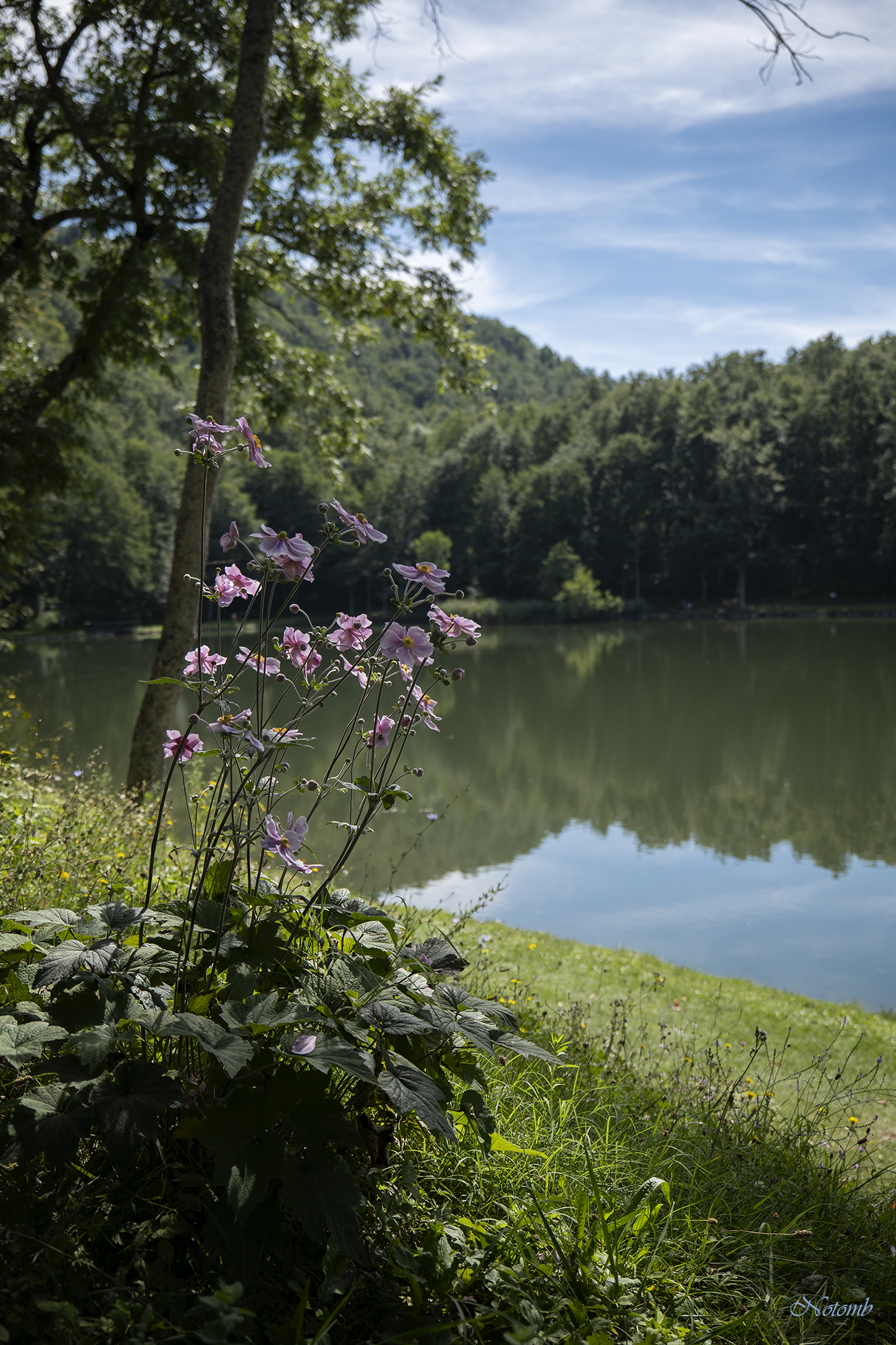 Una semplice foto in gita