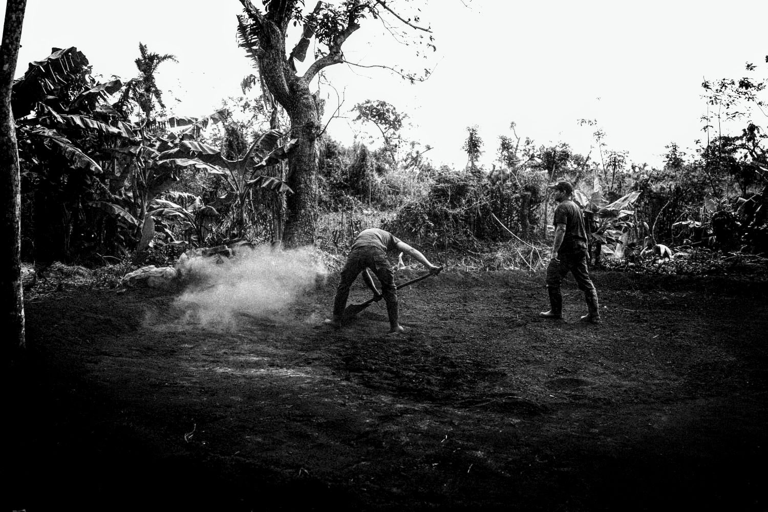 Another One Bites the Dust