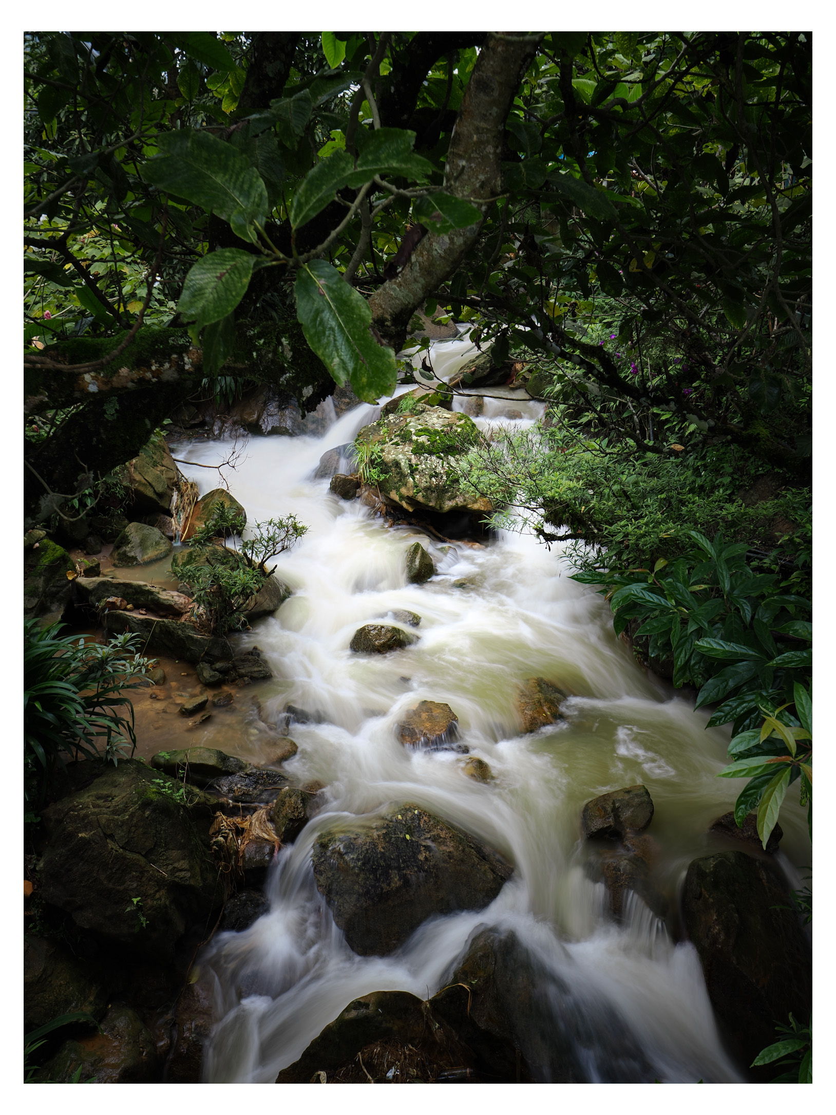 Vietnam