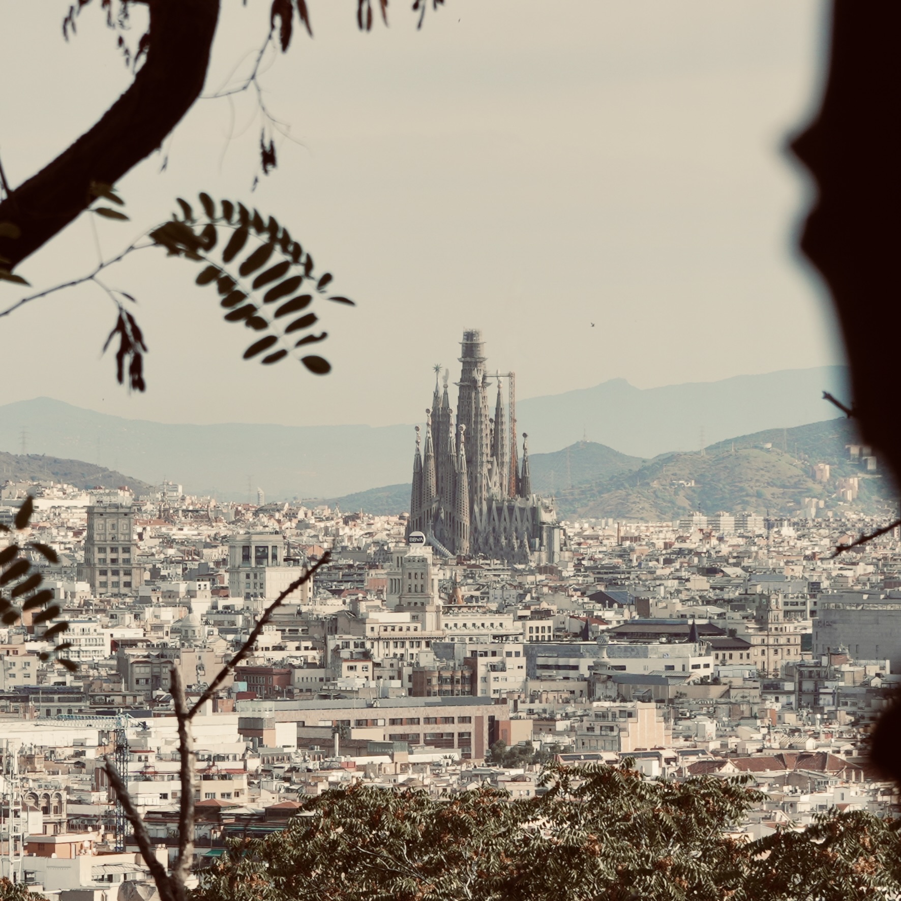 Sagrada Familia from above