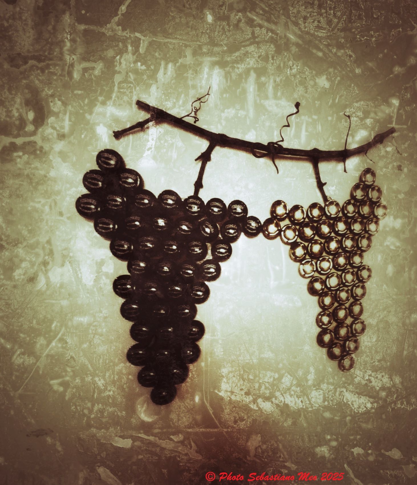 Uva Special Vintage...