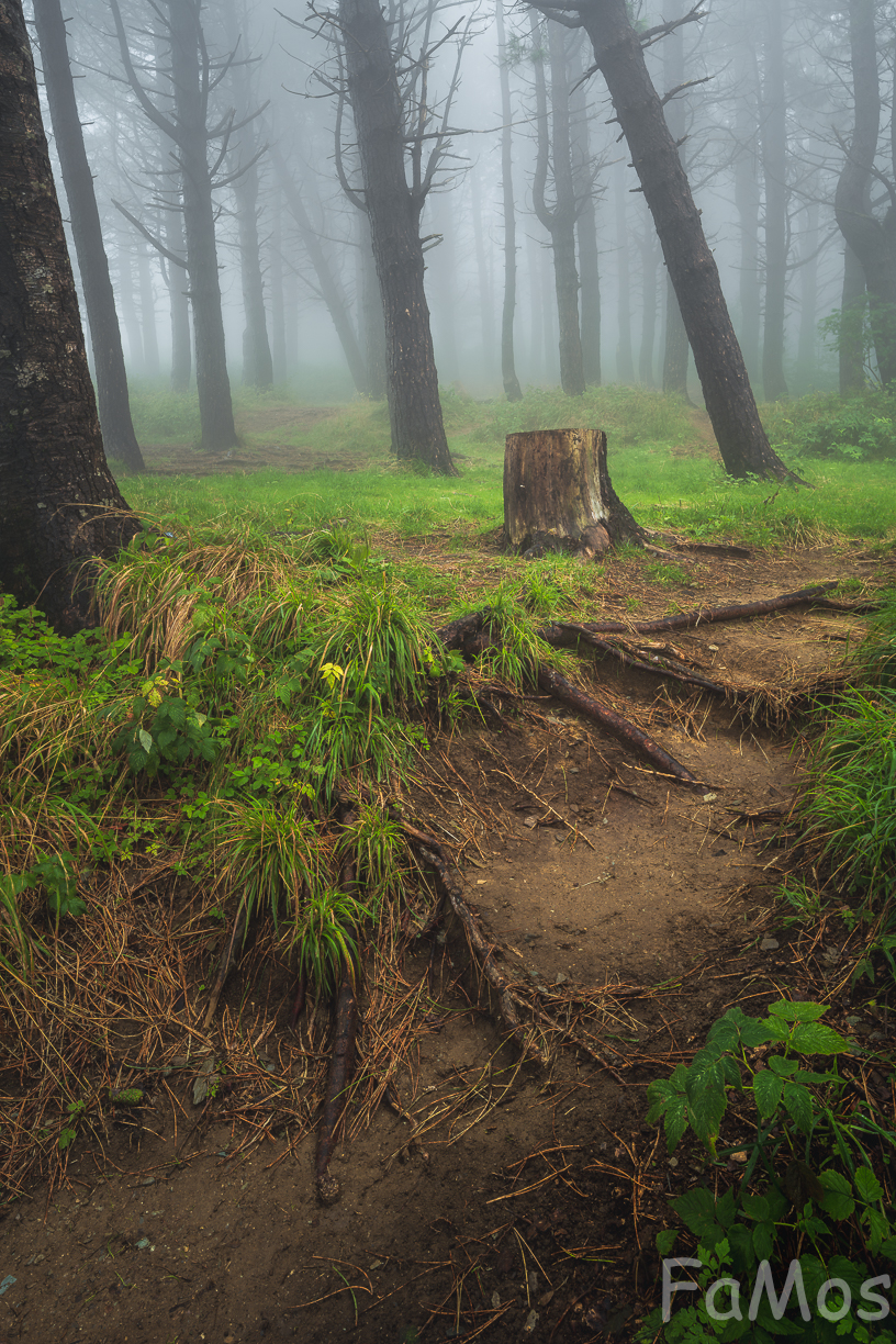 The sound of silence