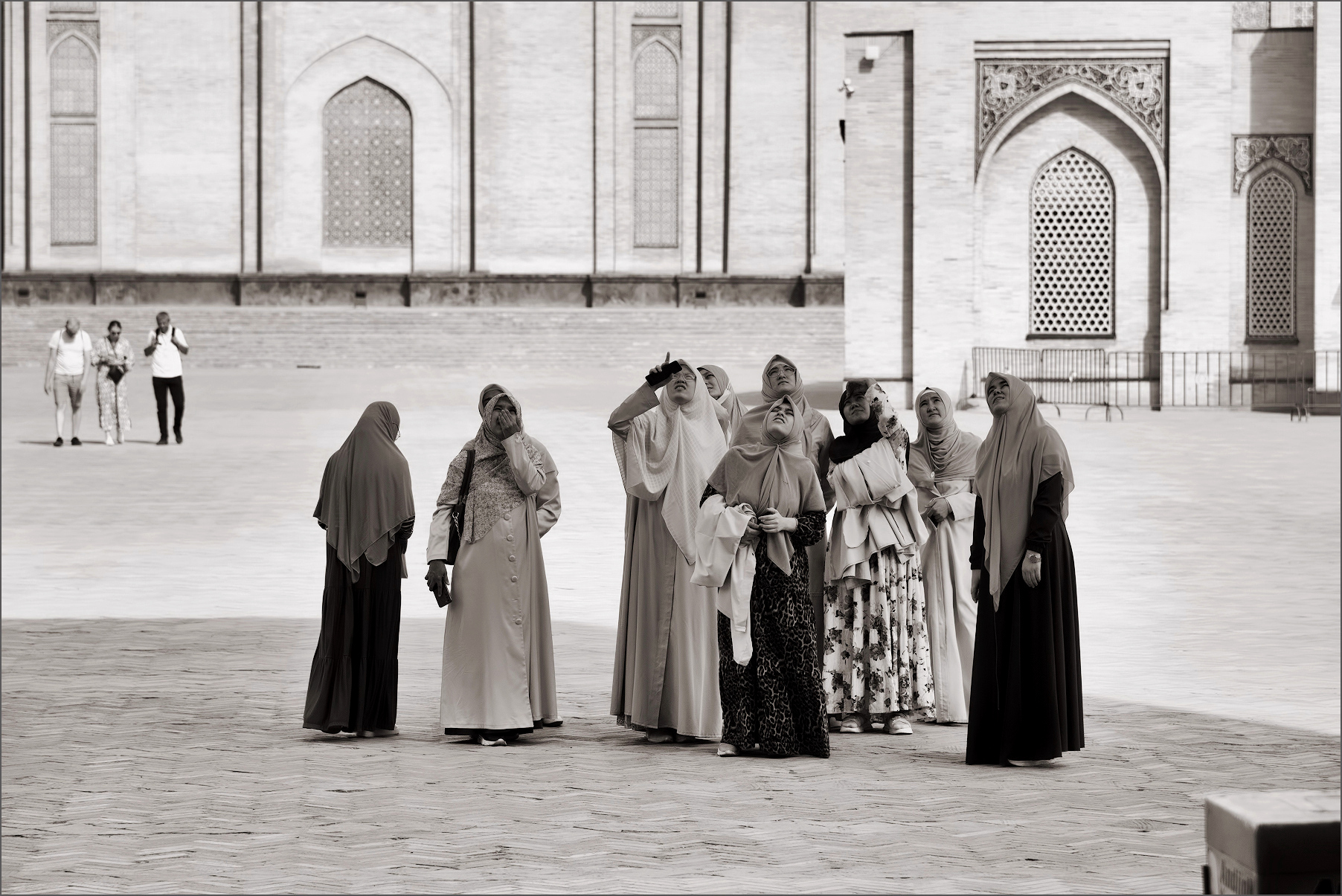'Pecora' nera ?, oppure Che cosa c'é in a...