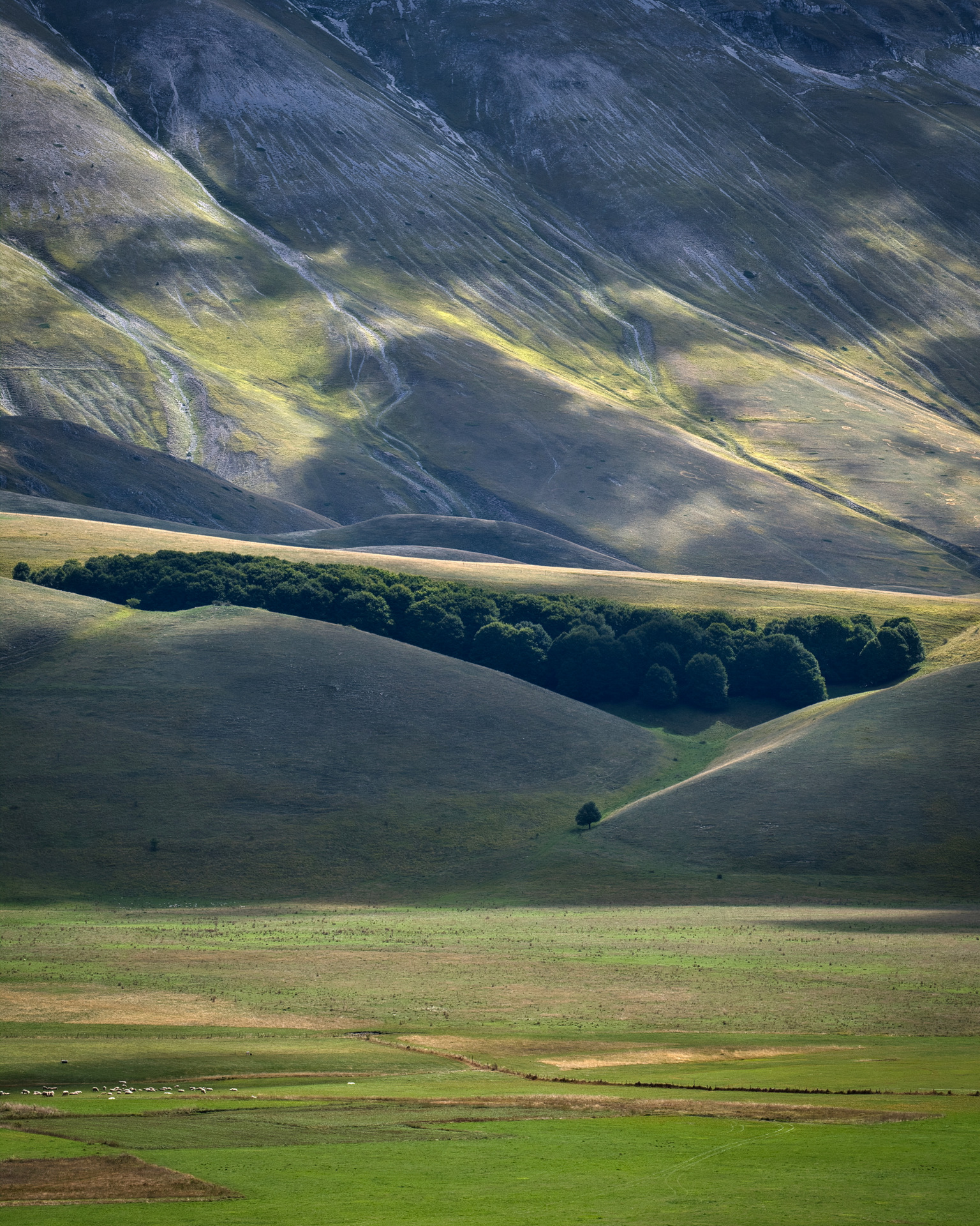 Sibillini - Pian Perduto, Macchietta, Costa del Vettore