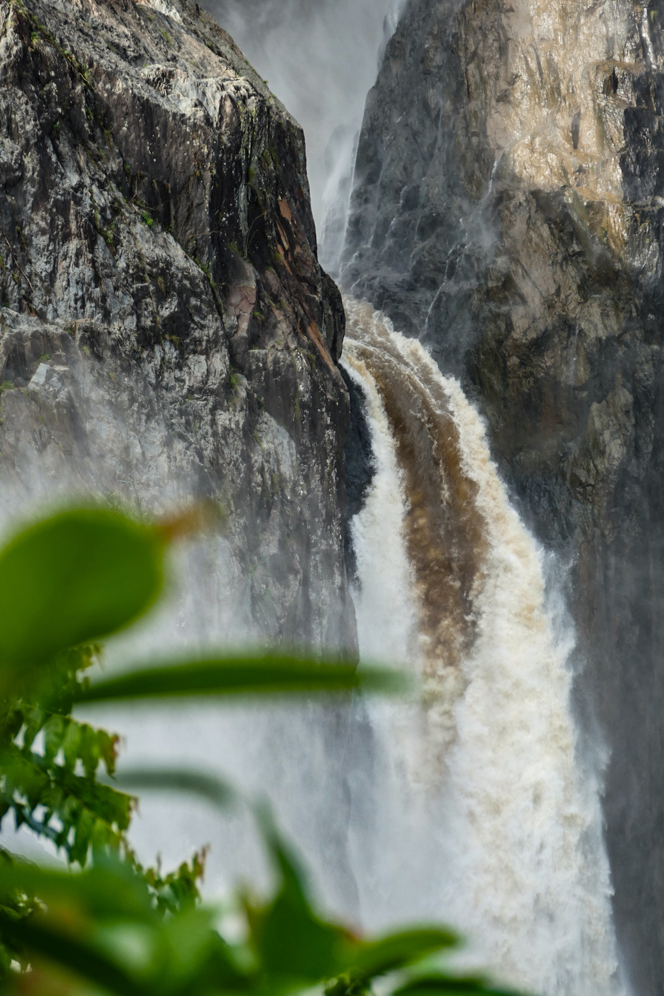 Cairns Waterfalls (QLD)