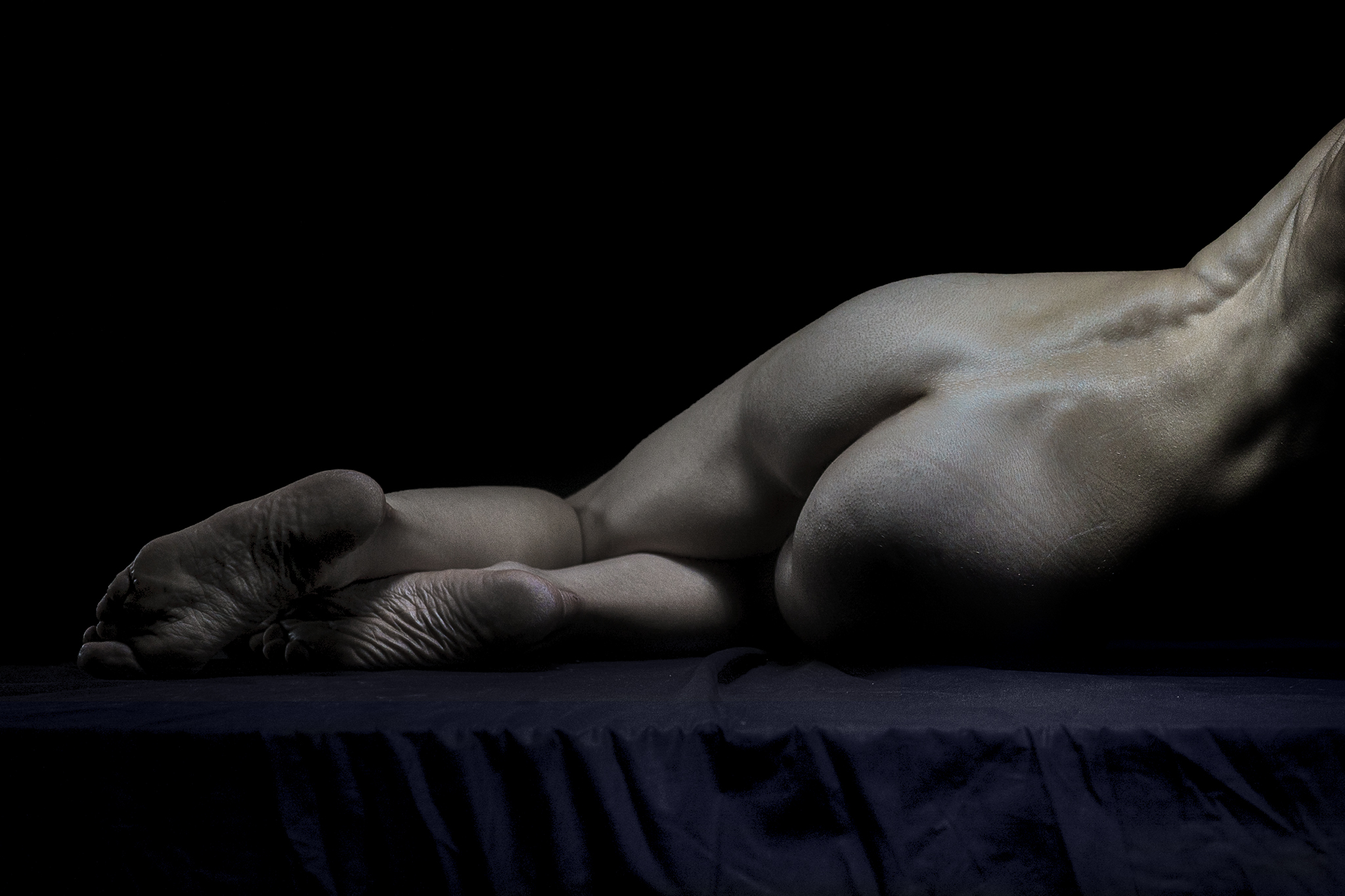 Sex And Anatomy