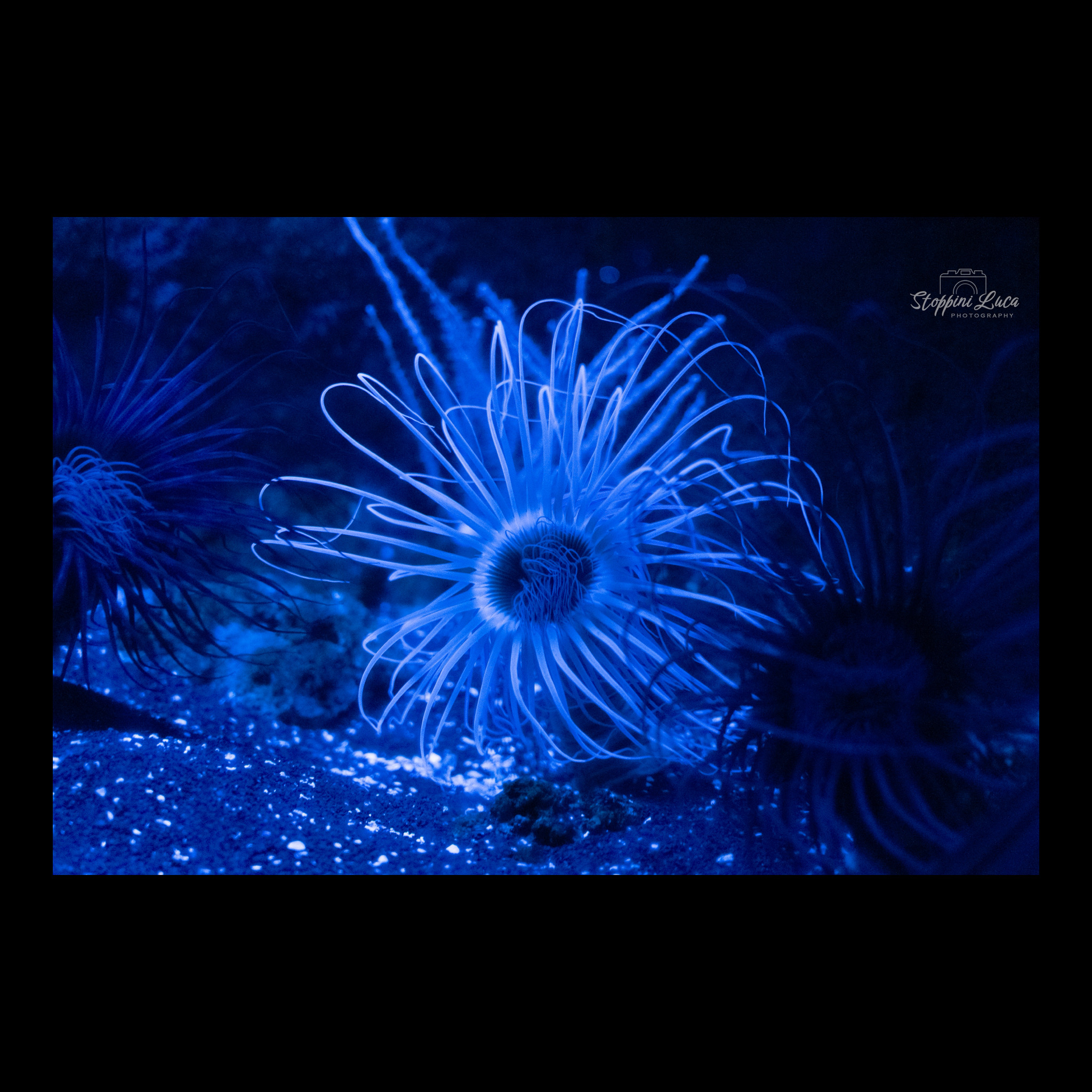 Day at the aquarium