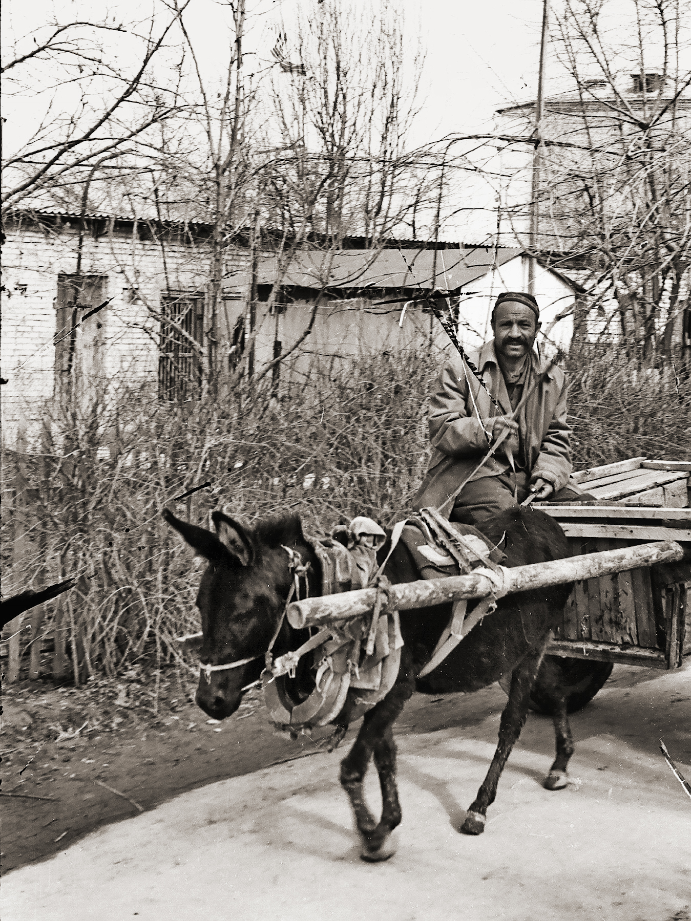 Shara-bara, oppure Amarcord