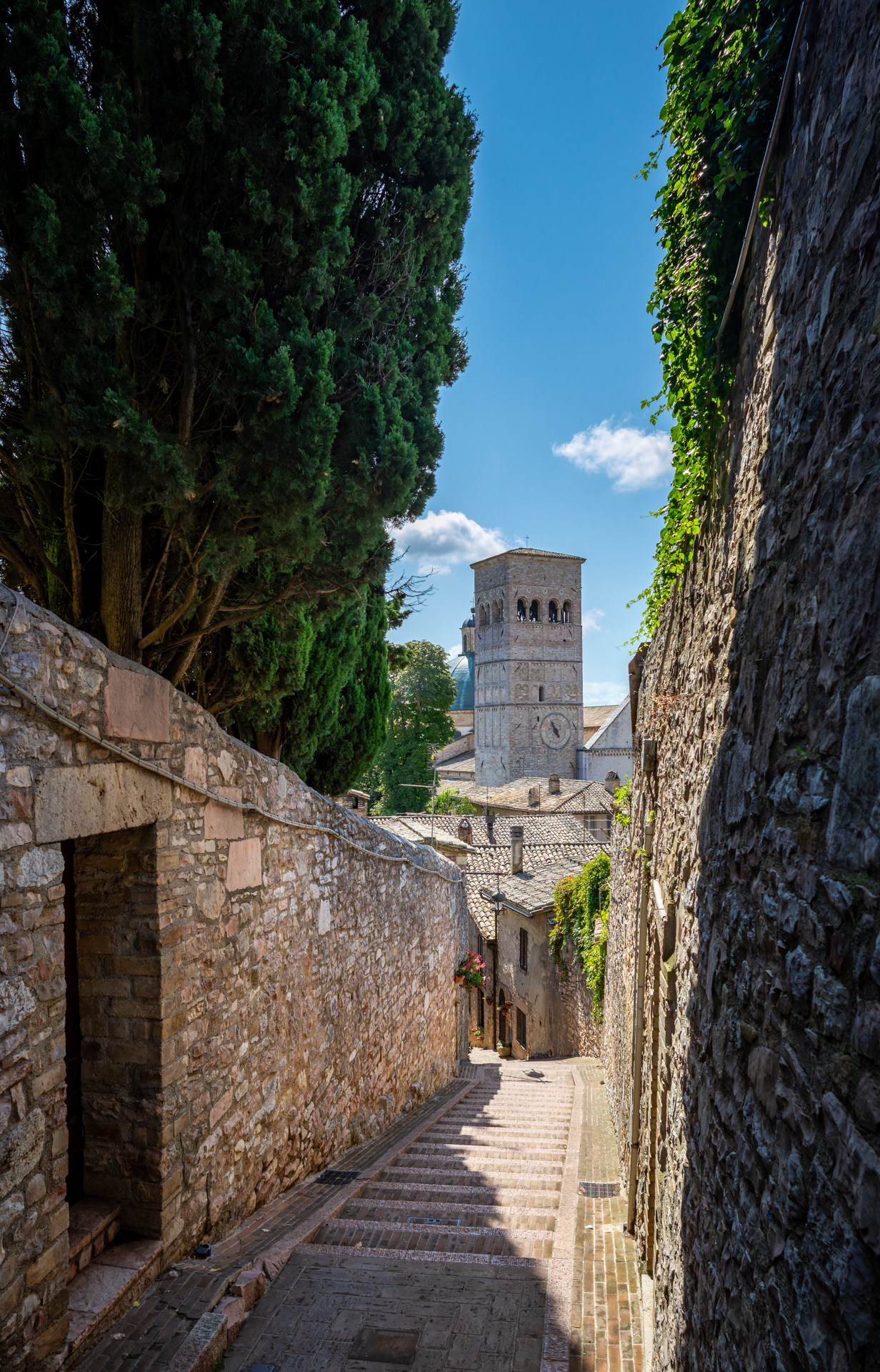 Assisi