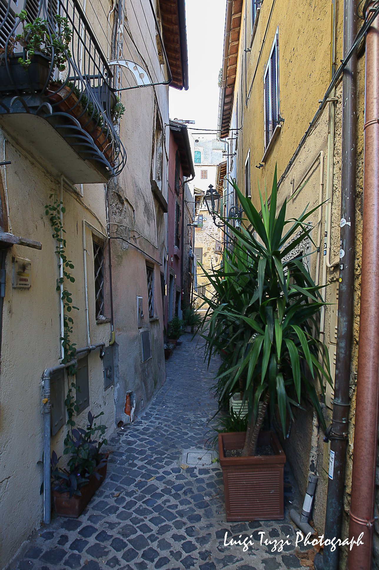 in the alleys