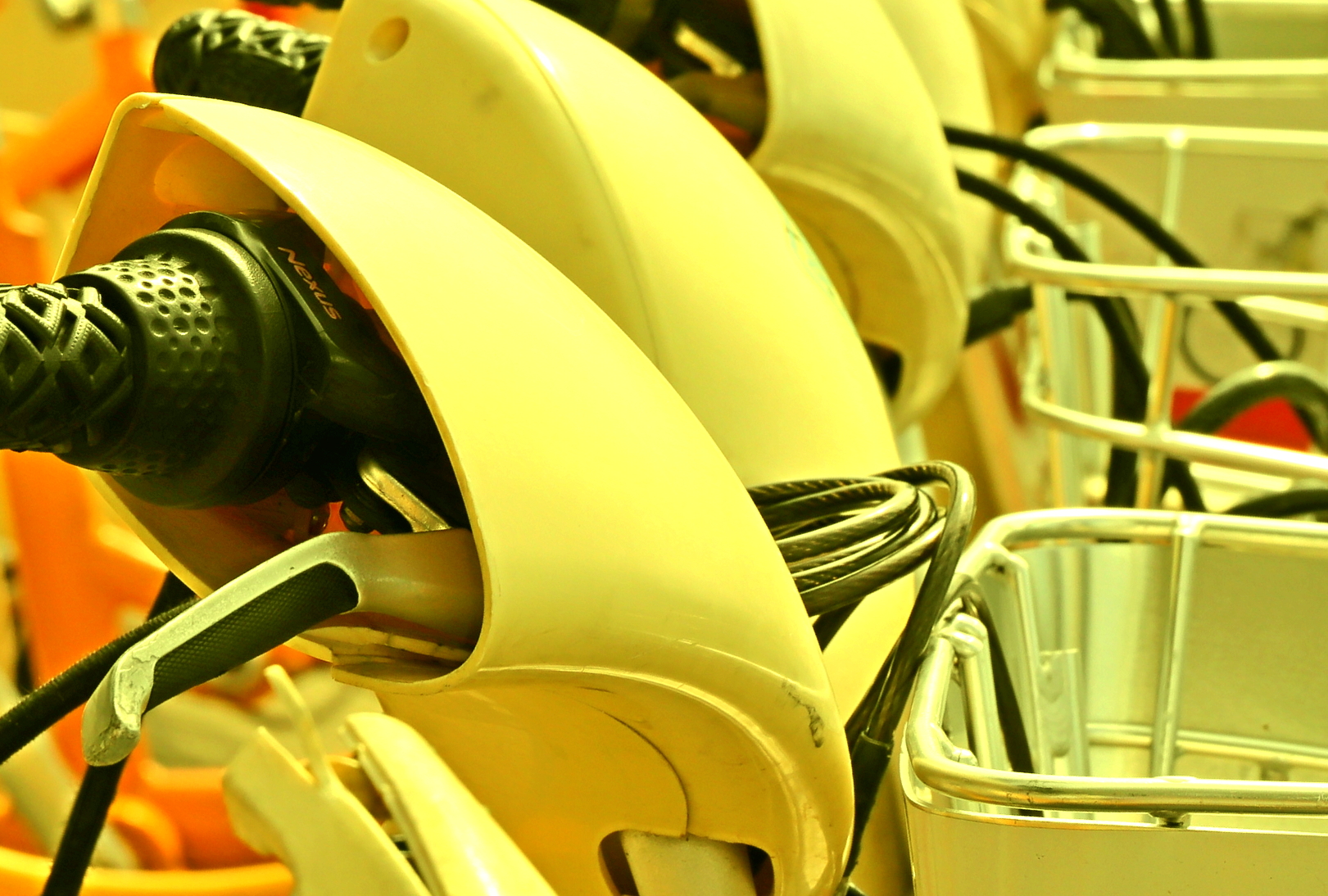 particular to the future