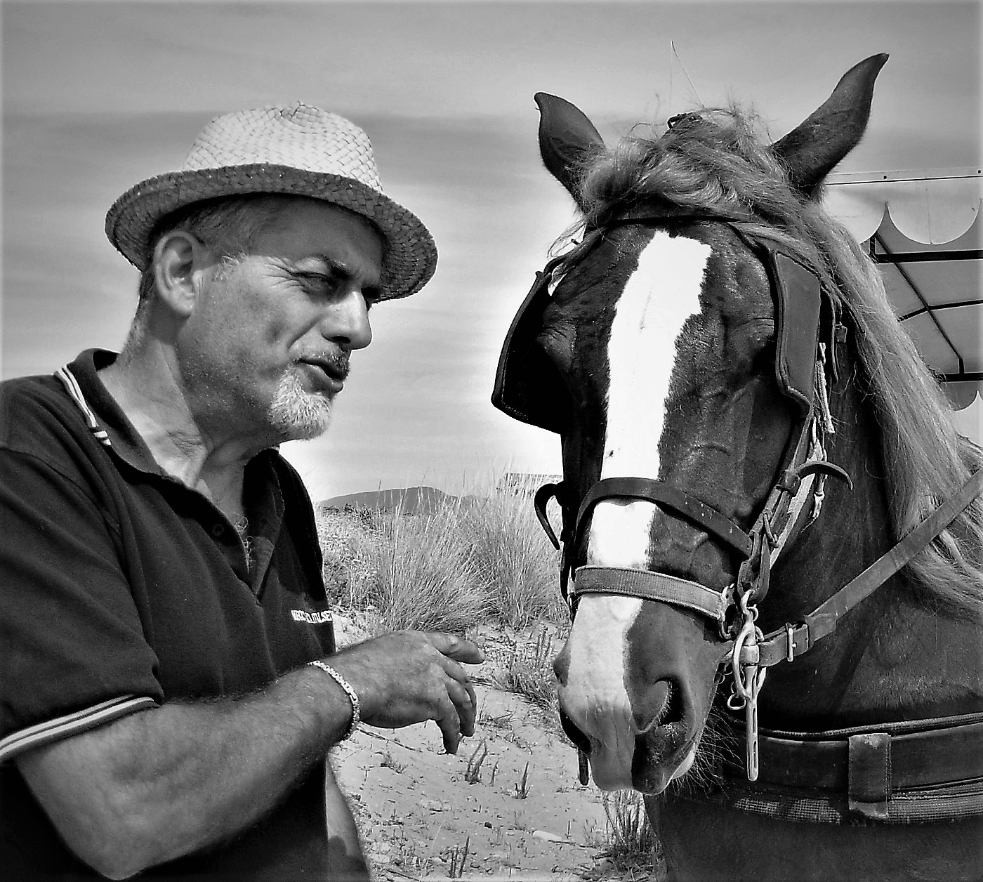 The man who spoke to horses