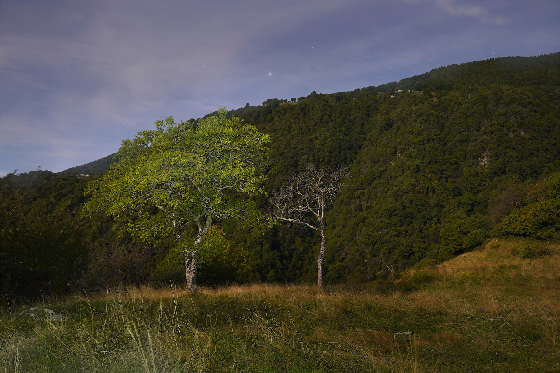 Prato presso la localitá Oggiolo 800m slm